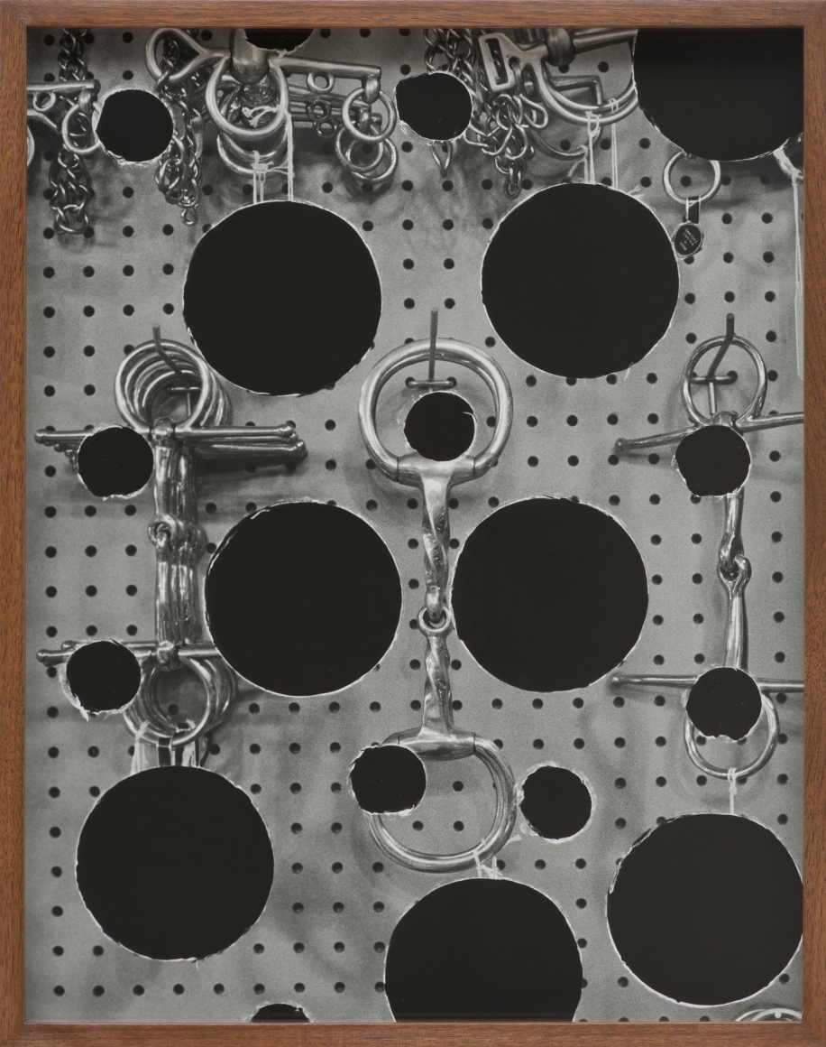 Elad Lassry, Bits, 2013