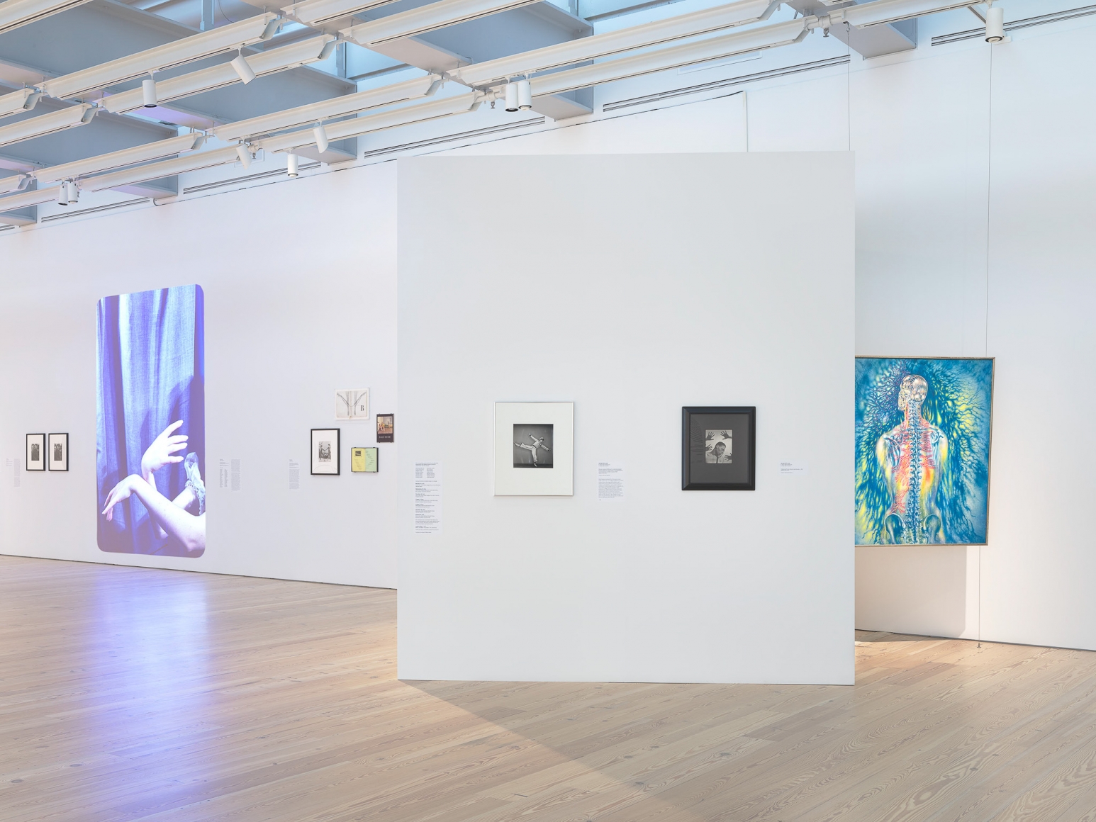 Installation view of Nick Mauss: Transmissions, Whitney Museum of American Art, New York, 3/16 - 5/14/2018