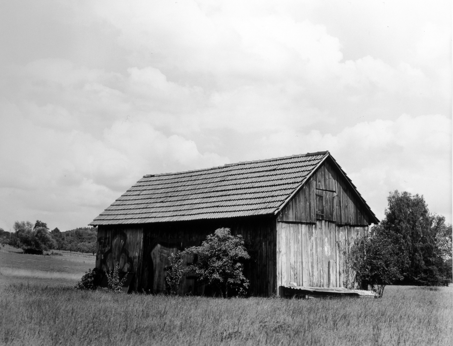 Collier Schorr, Hütte