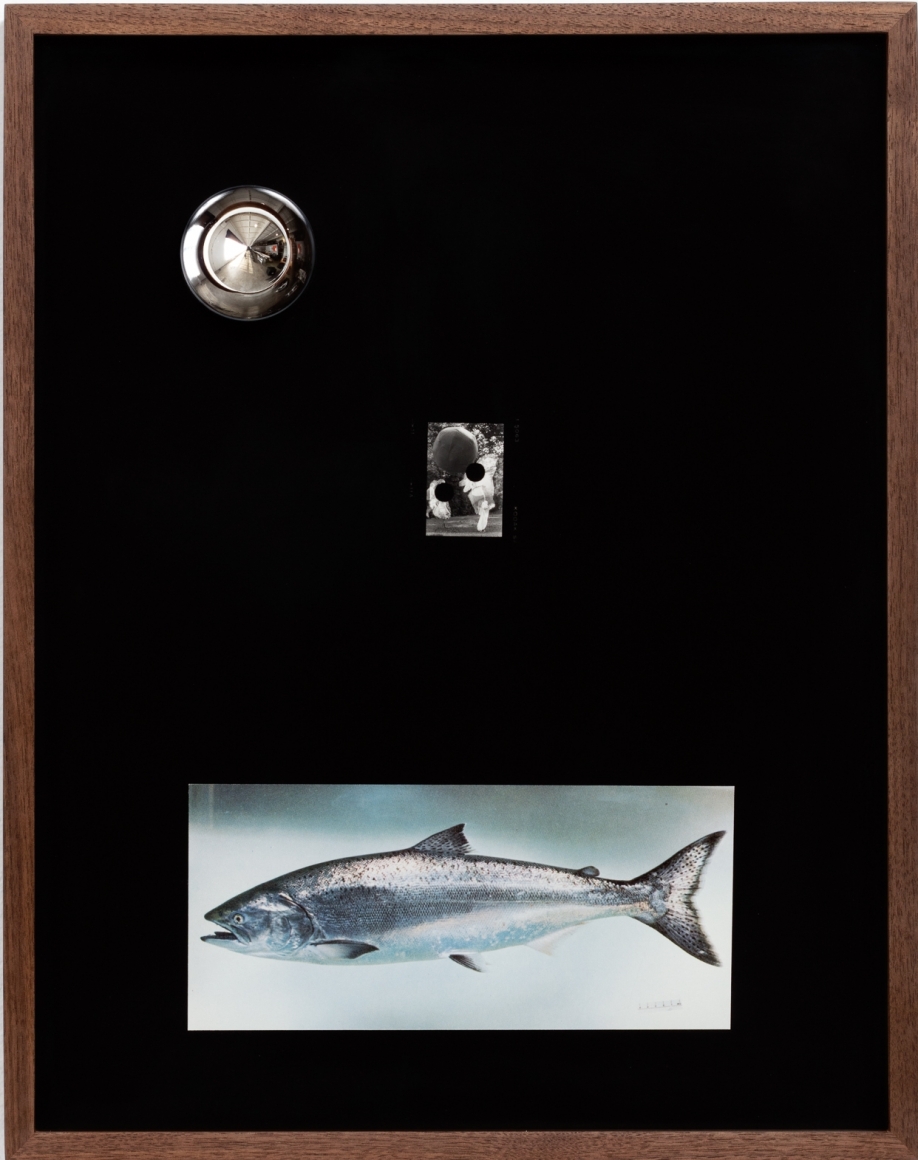 Elad Lassry, Untitled (Boots, King Salmon), 2018