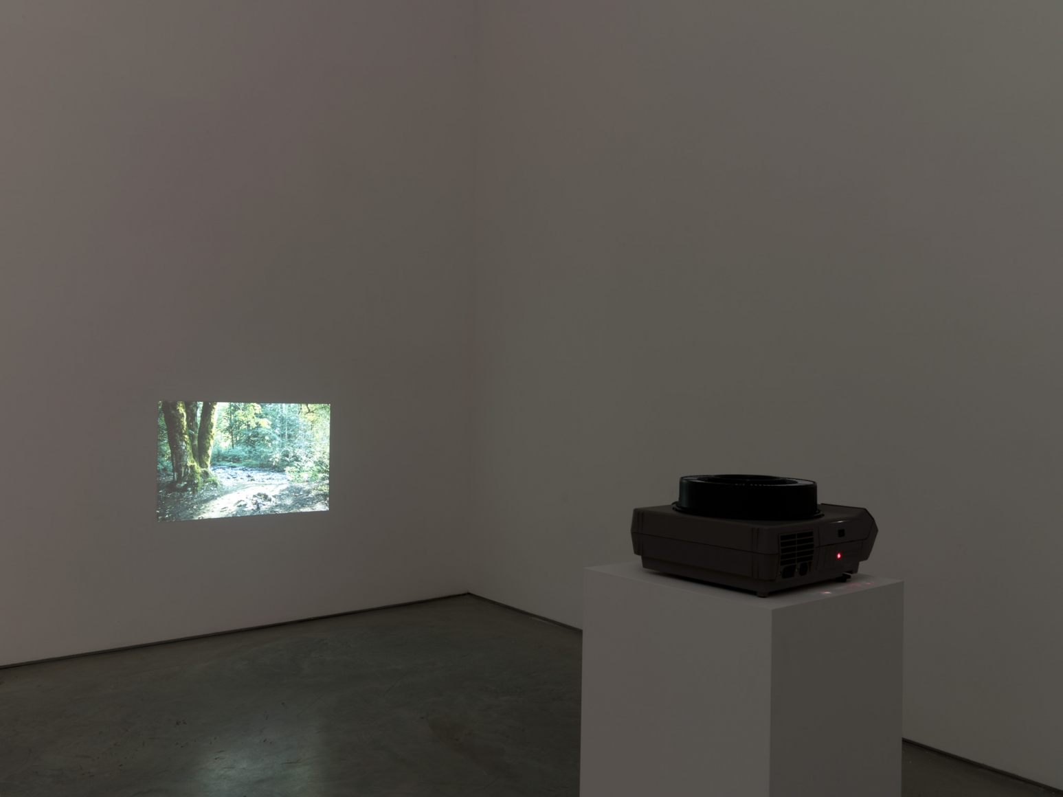Mike Nelson, Untitled (Eighty Circles through Canada) 2013, Installation at 303 Gallery, New York, 2015