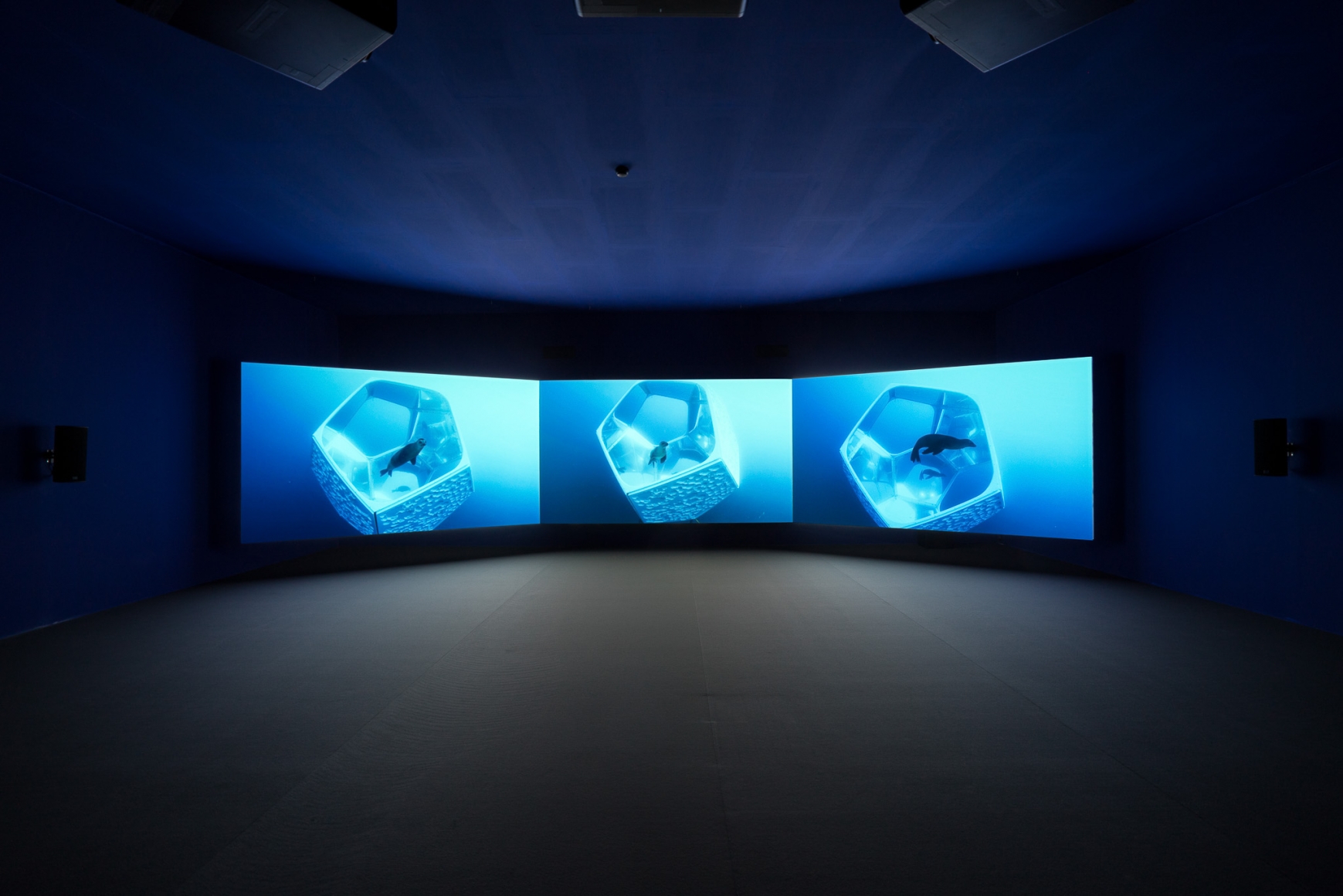 Doug Aitken, Underwater Pavilions (installation), 2017