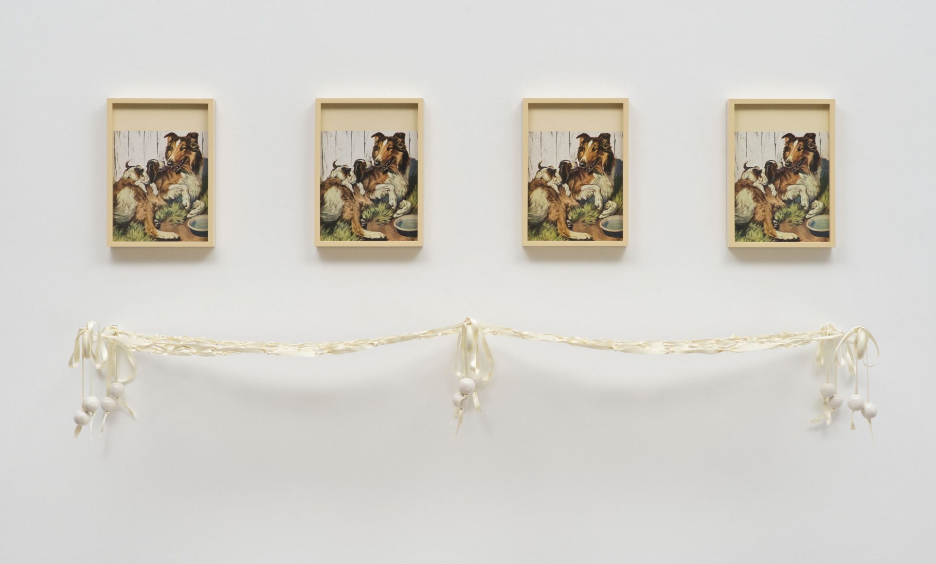 Elad Lassry, Collie (Beagle), 2013