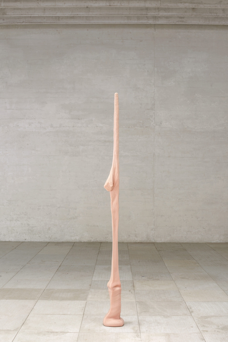Nina Canell, Installation view: 57th Venice Biennale, 2017, Photo: Nick Ash