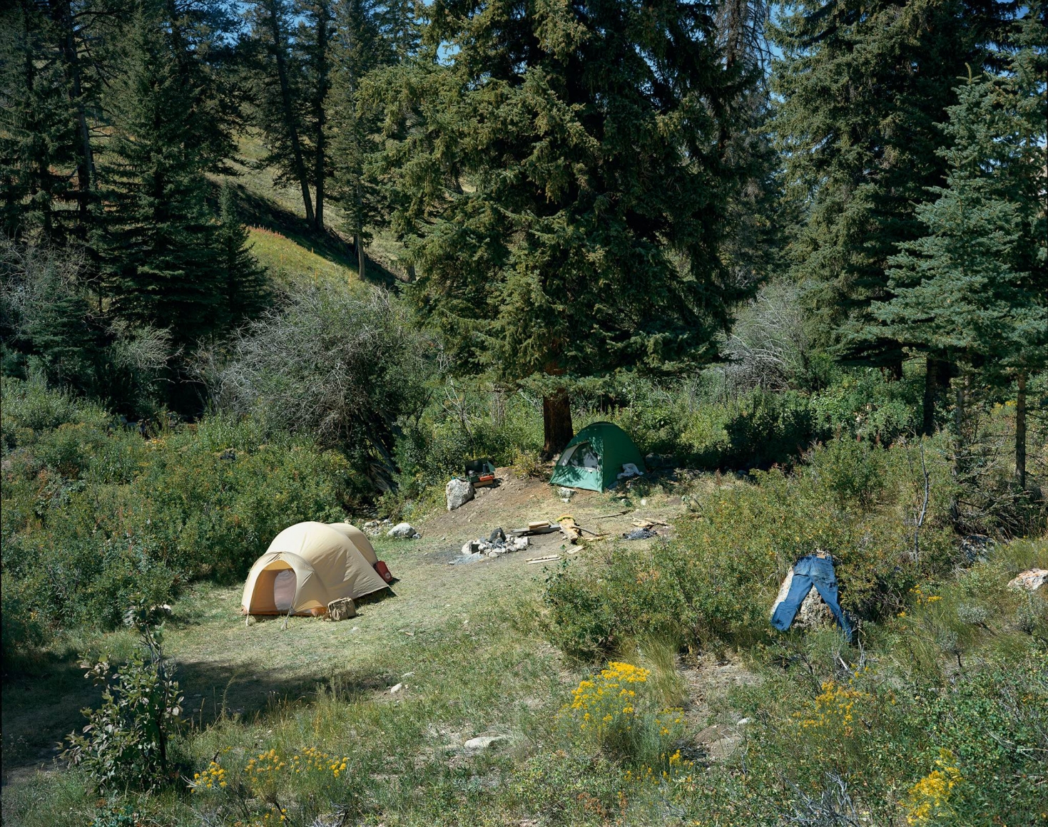 Stephen Shore, Jackson, Wyoming, September 2, 1979