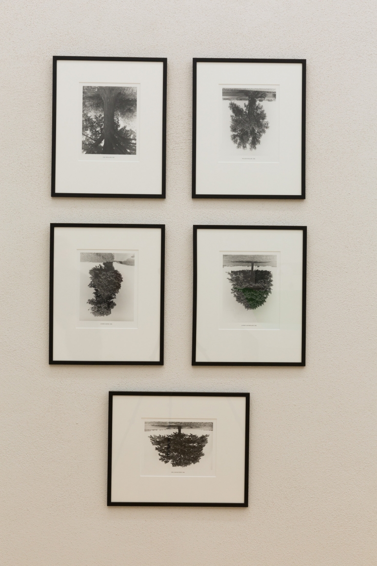 Rodney Graham, Installation view: Sammlung Goetz, München, 2016