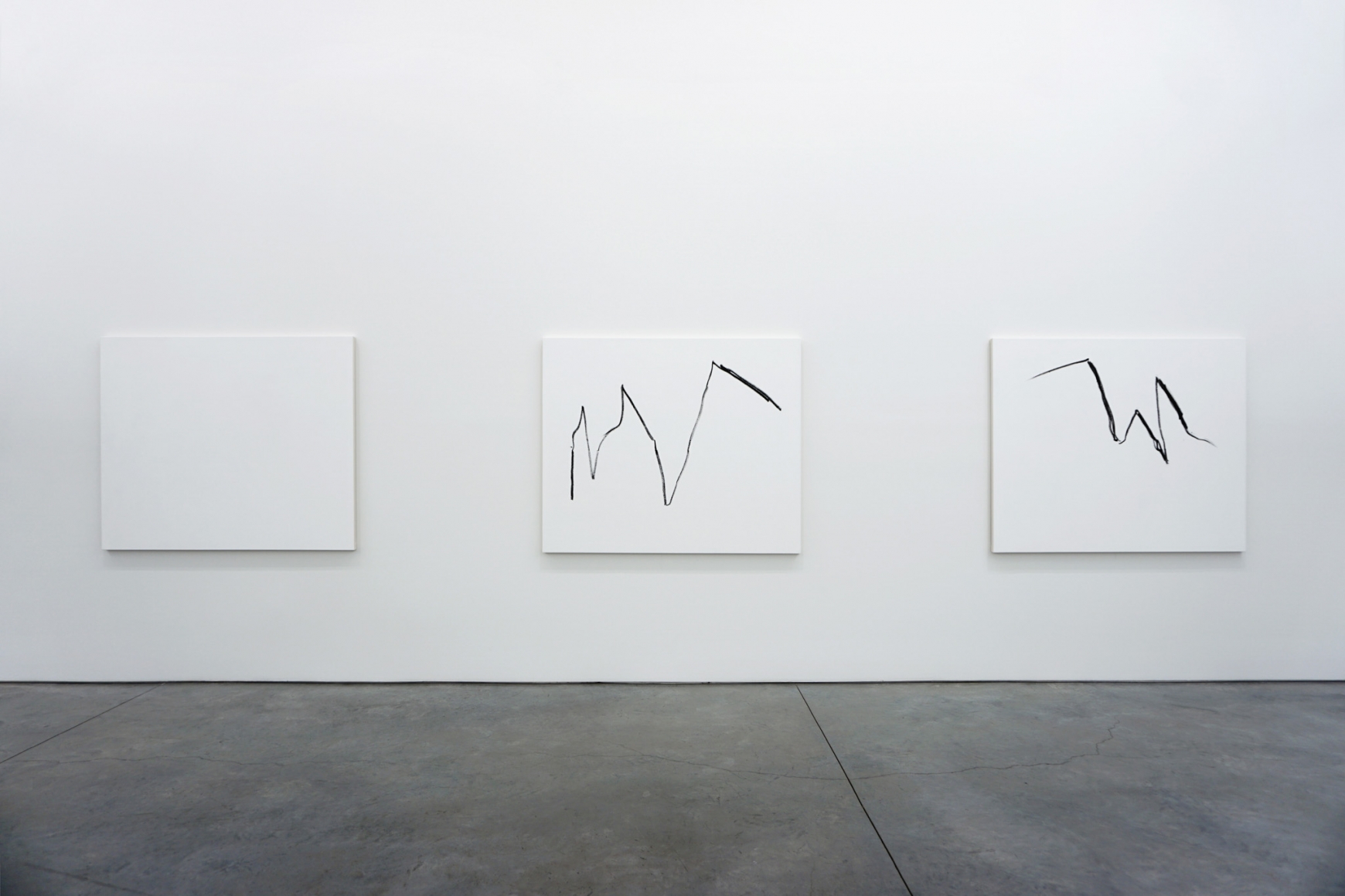 Sarah Meyohas, Installation at 303 Gallery, 2016