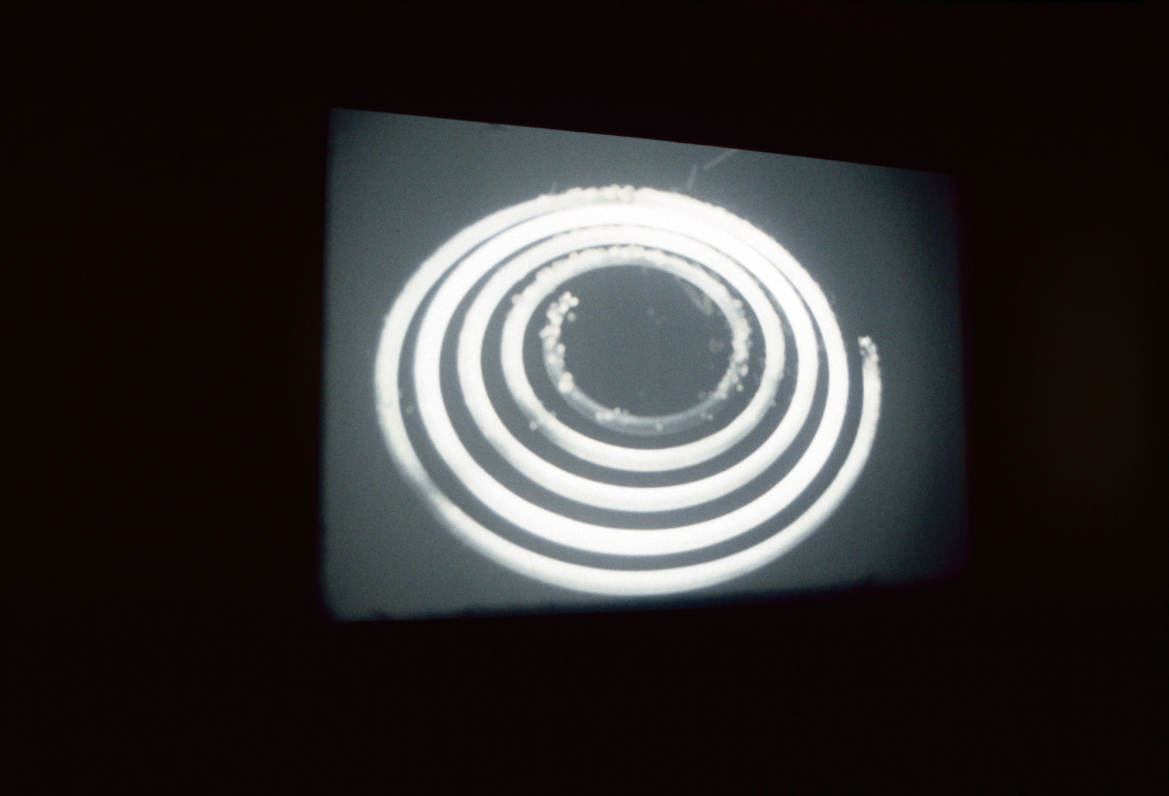 Rodney Graham, Coruscating Cinnamon Granules, 1996, Installation view: 303 Gallery, 2001