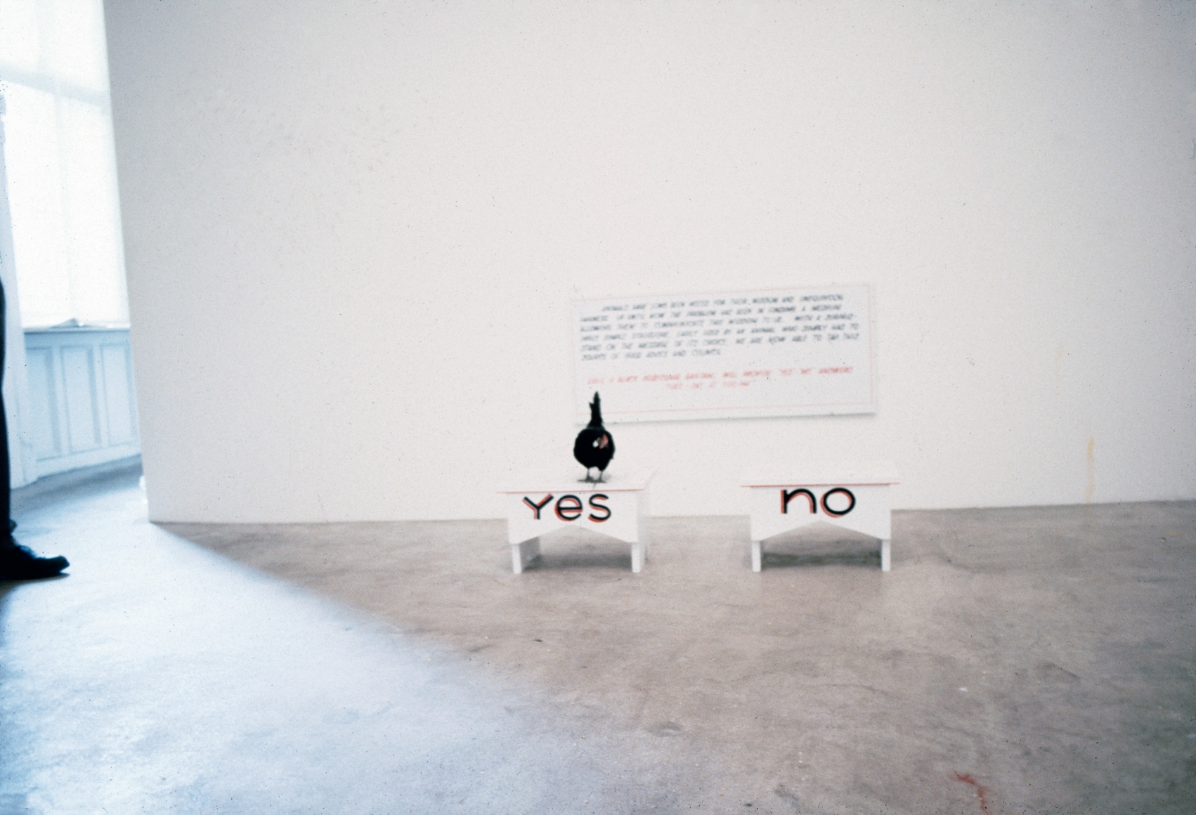 Installation view, One Leading To Another