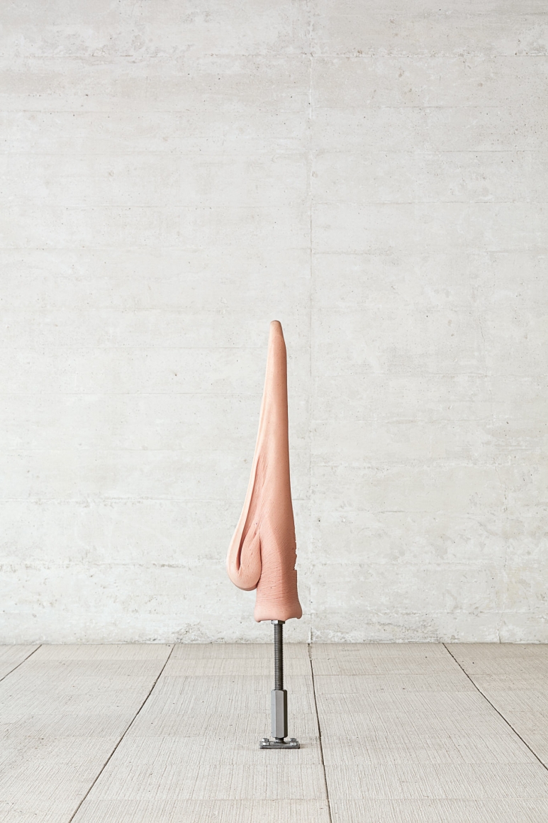 Nina Canell, Installation view: 57th Venice Biennale, 2017, Photo: Nick Ash