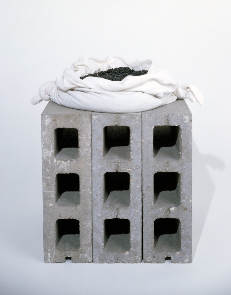 Meyer Vaisman, Cantos I (Bean Route: Brasil-Portugal), 1995-6