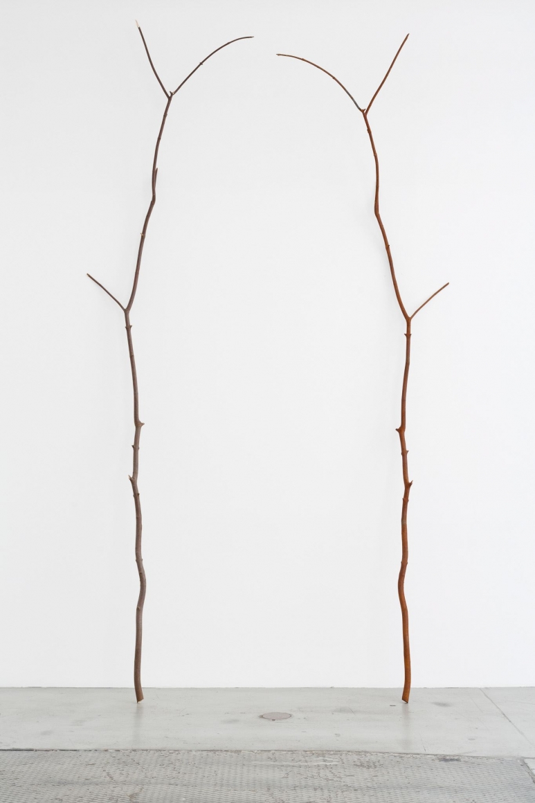 Alicja Kwade, Unbestimmter Tausch (indefinite exchange), 2014