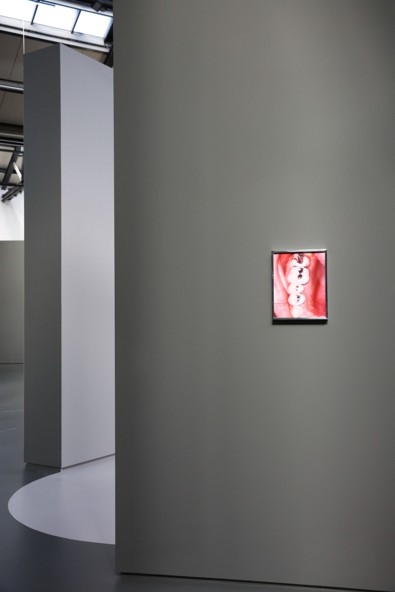 Elad Lassry: Untitled