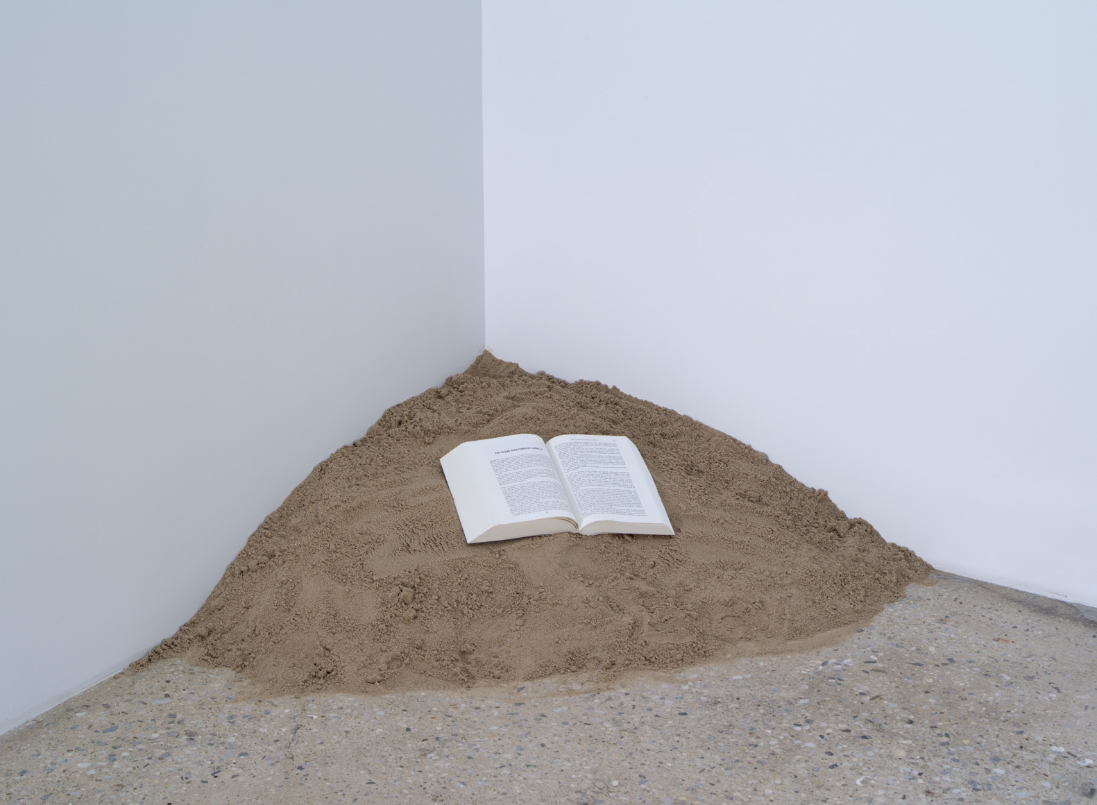 Dominique Gonzalez-Foerster, Untitled, 2011