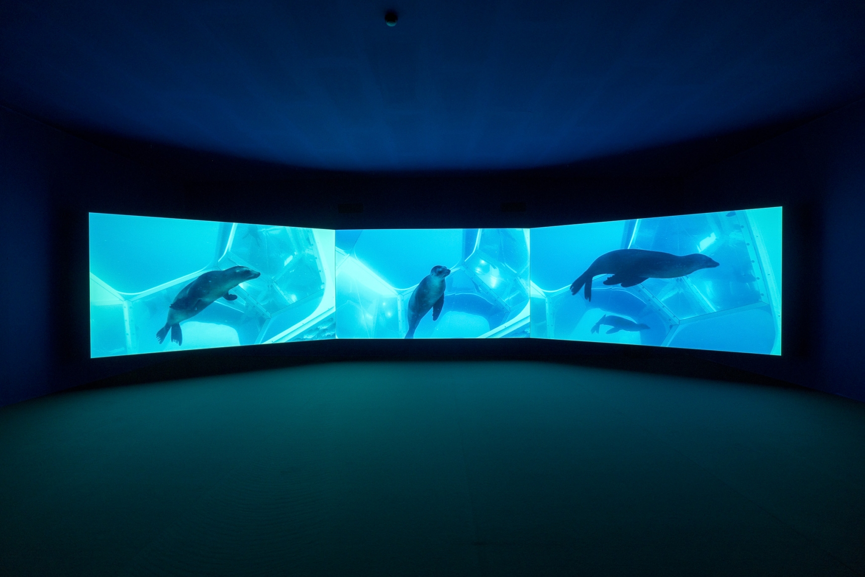 Doug Aitken, Underwater Pavilions (installation), 2017