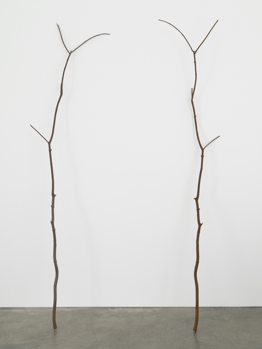 Alicja Kwade, Unbestimmter Tausch (indefinite exchange)