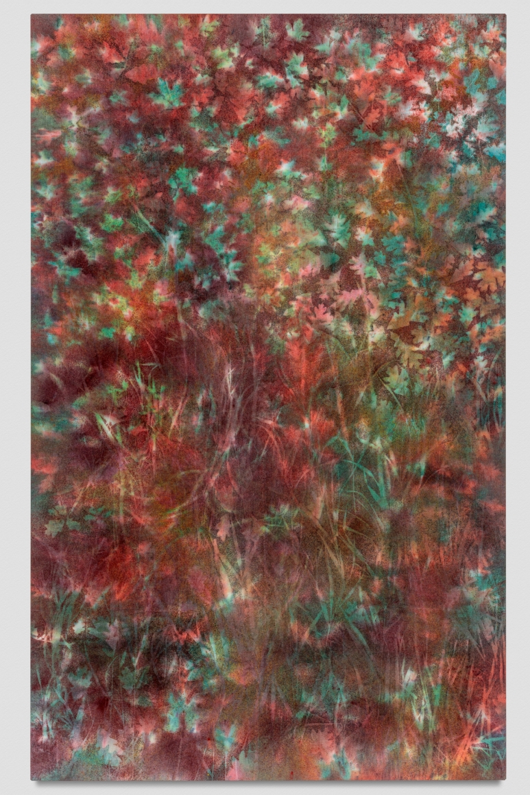Sam Falls, Untitled (Ouachita National Forest, 1), 2018
