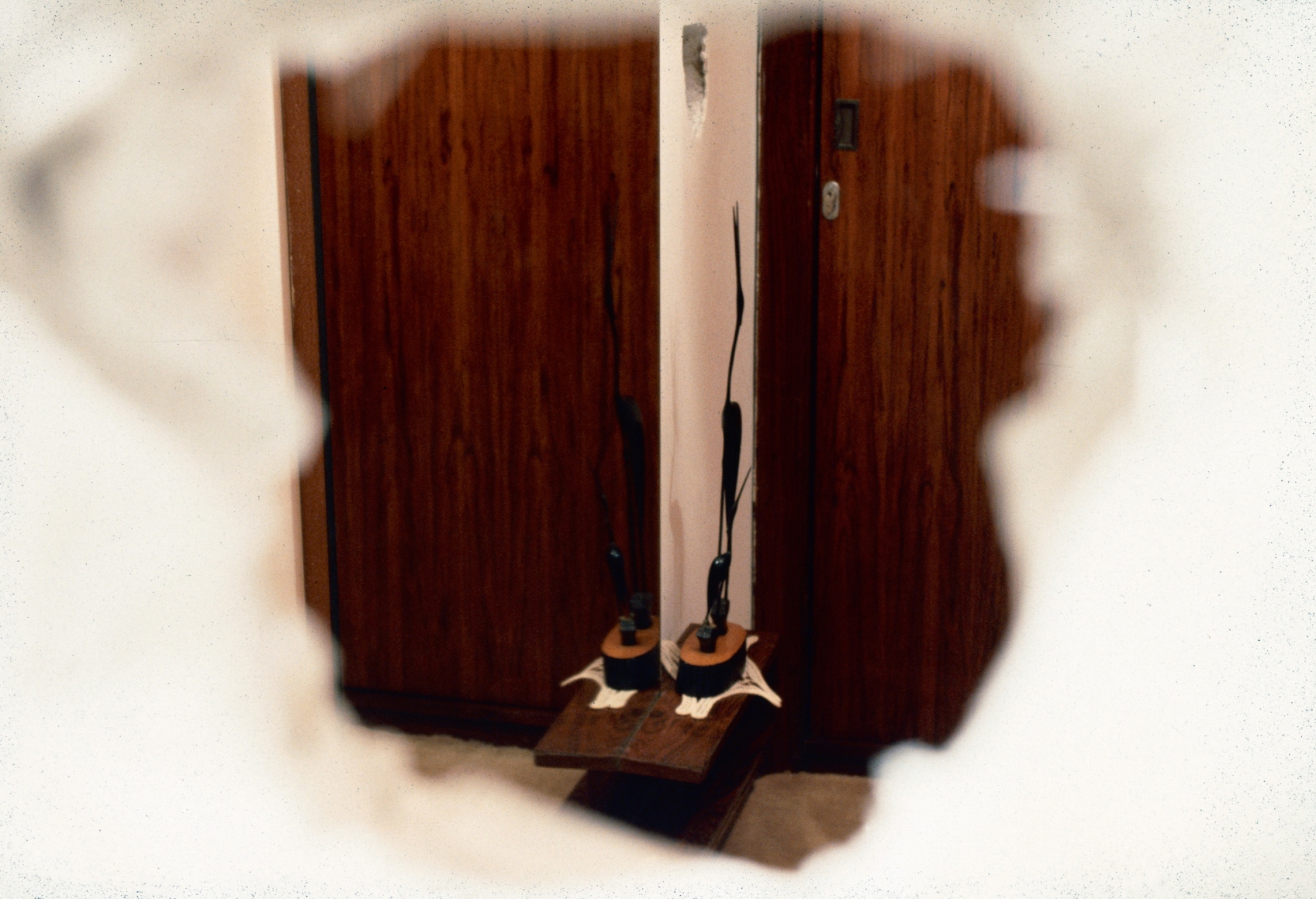 Meyer Vaisman, Green on the Outside, Red on the Inside, 1996
