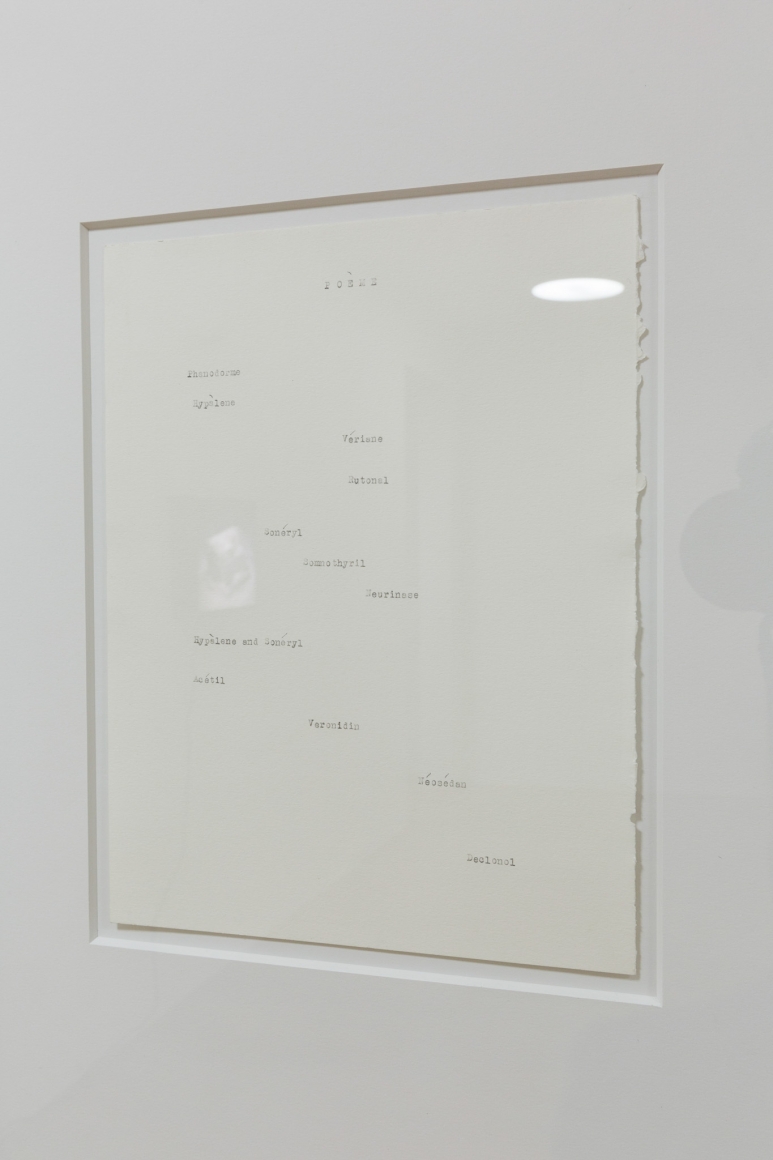 Rodney Graham, Installation view: Sammlung Goetz, München, 2016