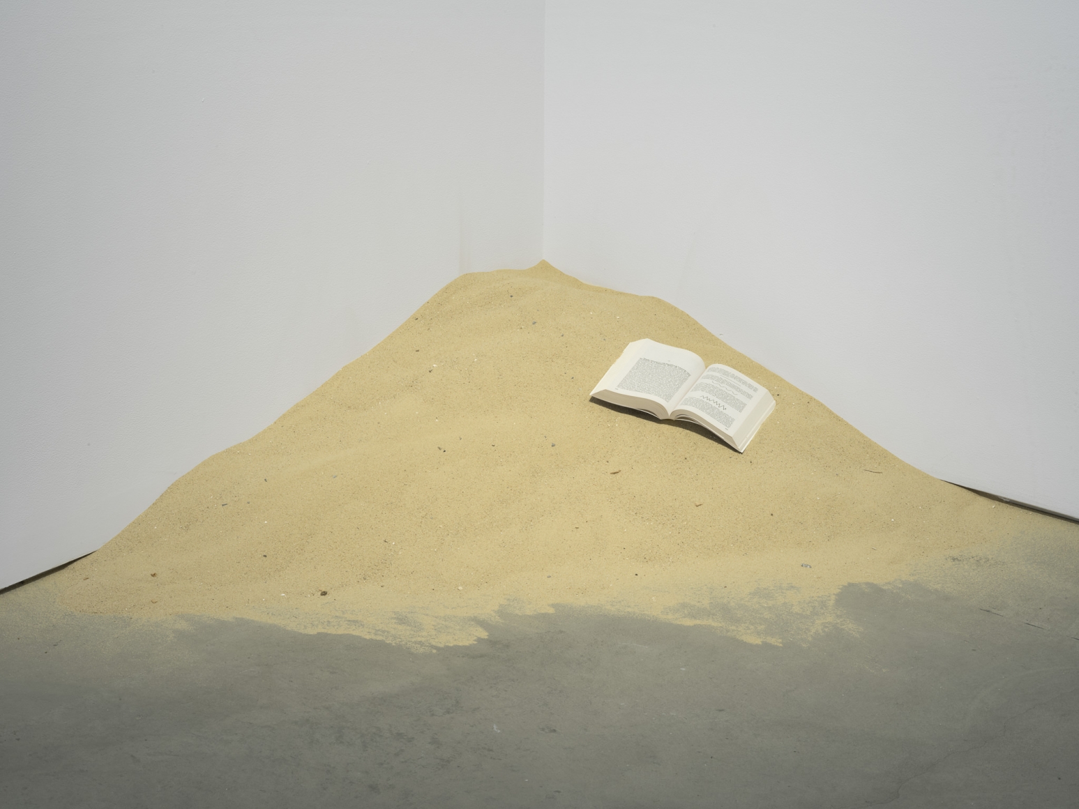 Dominique Gonzalez-Foerster, Untitled
