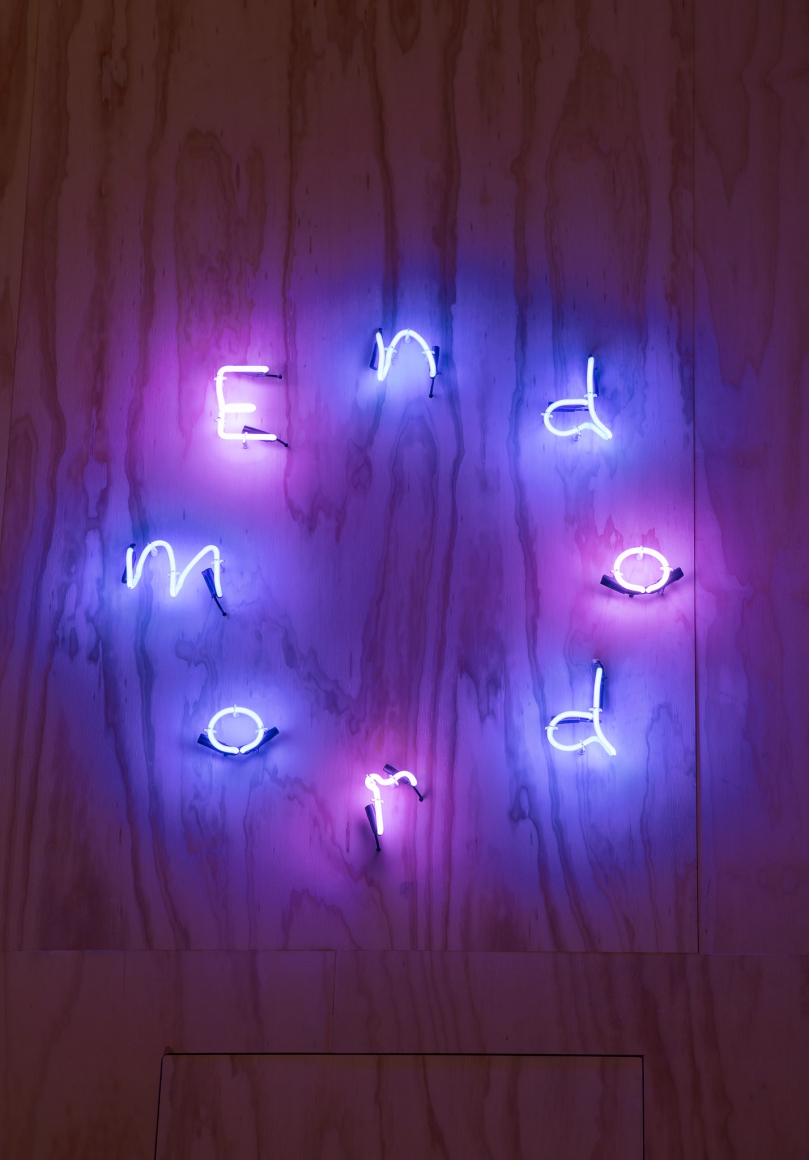 Dominique Gonzalez-Foerster, Endodrome