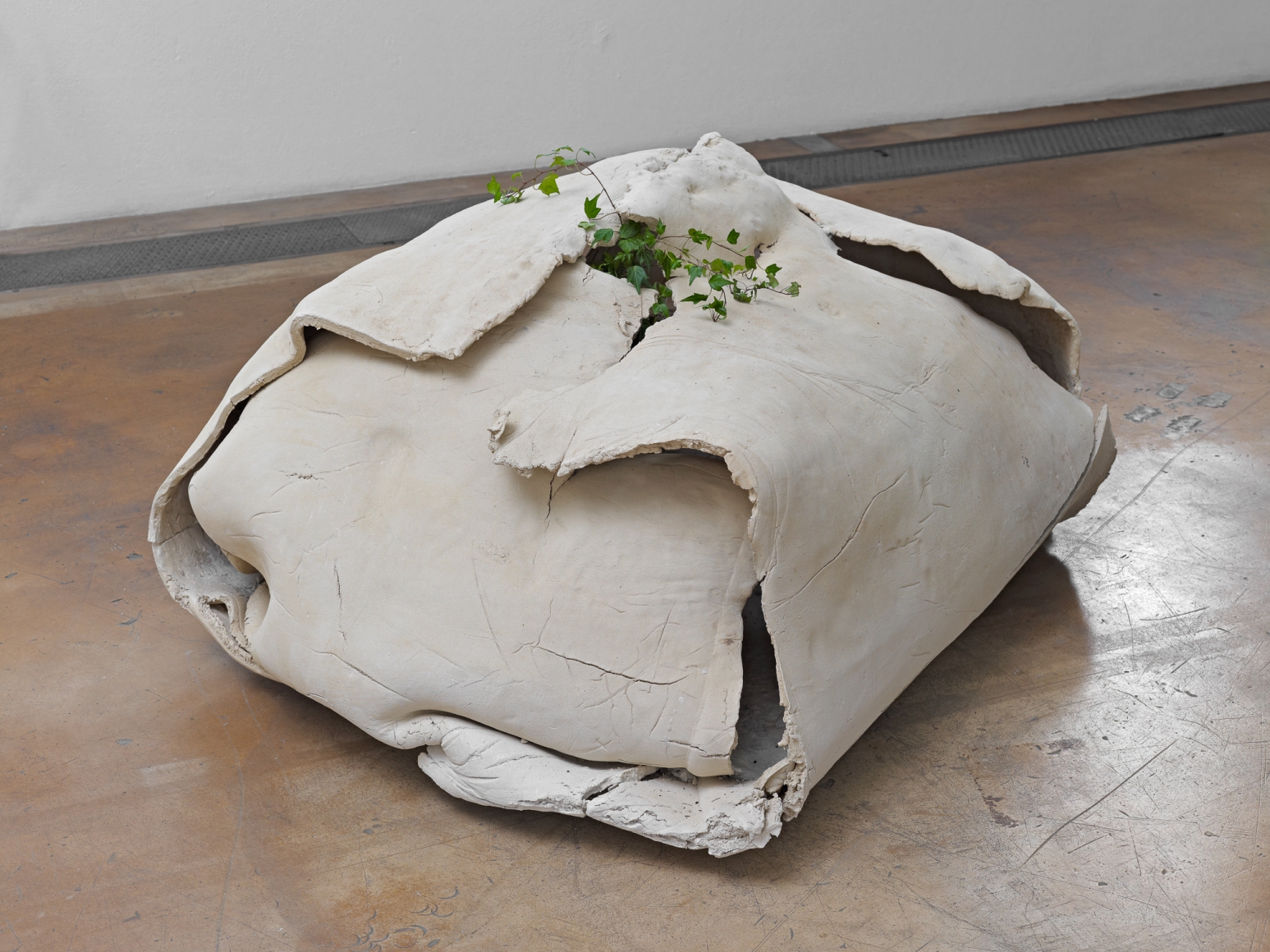 Installation view: Katinka Bock, 40 Räuber, MAMCO, Genève, 2013, Photo: Ilmari Kalkkinen