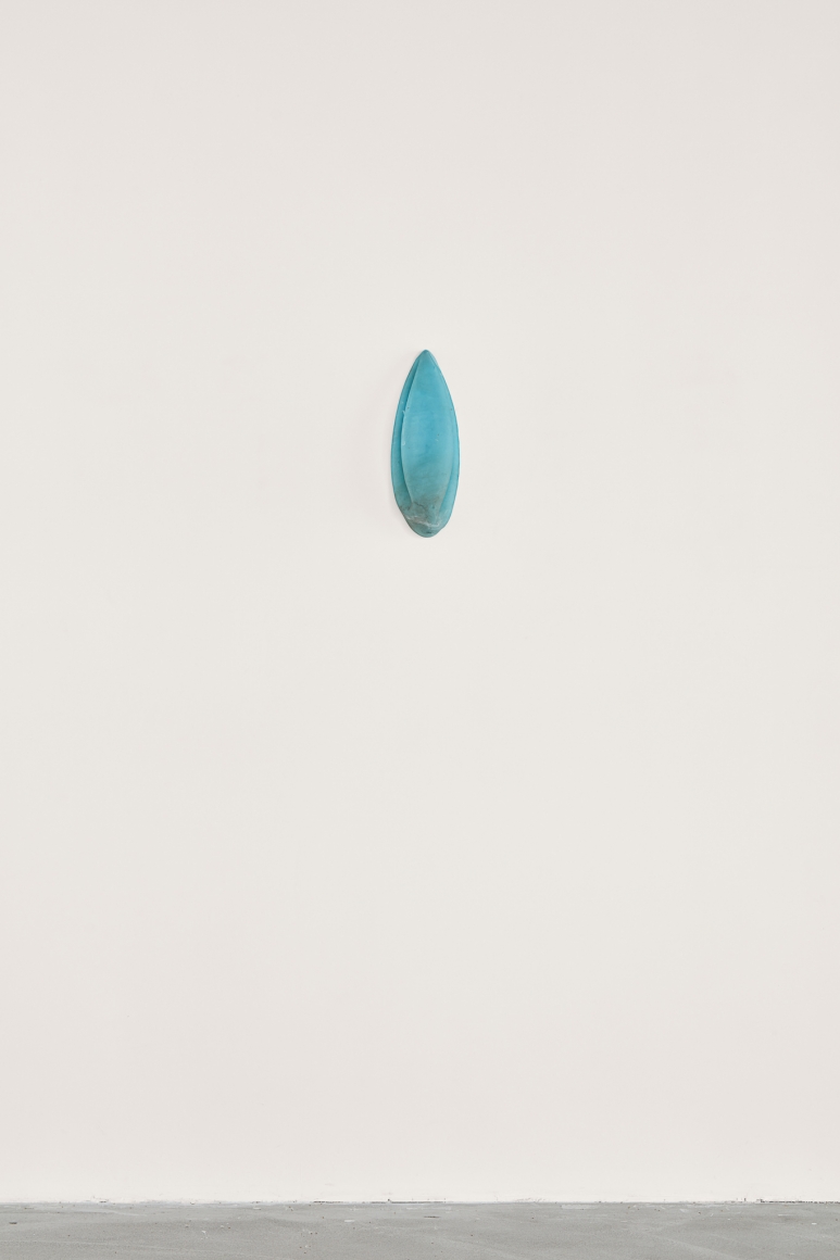 Nina Canell, Installation view: Dolphin Dandelion, Le Crédac, Paris Ivry-sur-Seine, 2017