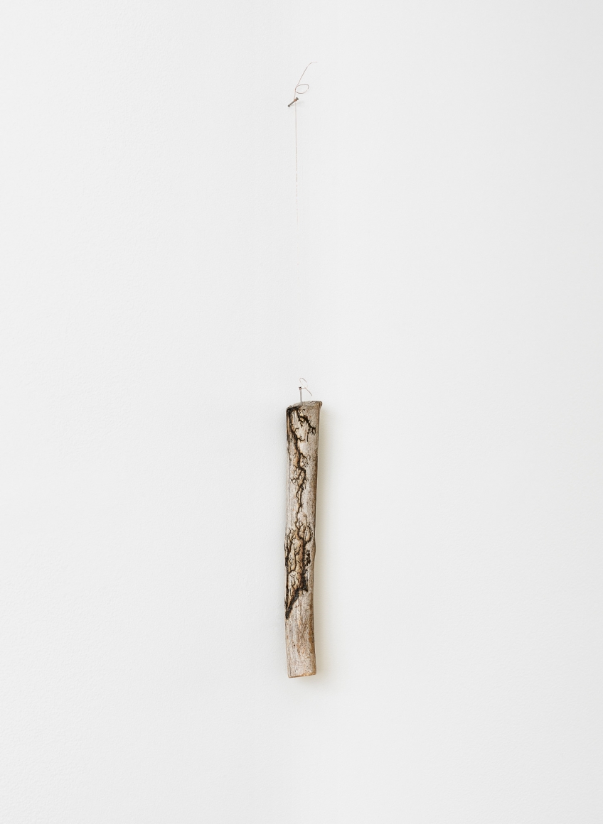 Nina Canell, Installation view: Mid-Sentence, Moderna Museet, Stockholm, 2014