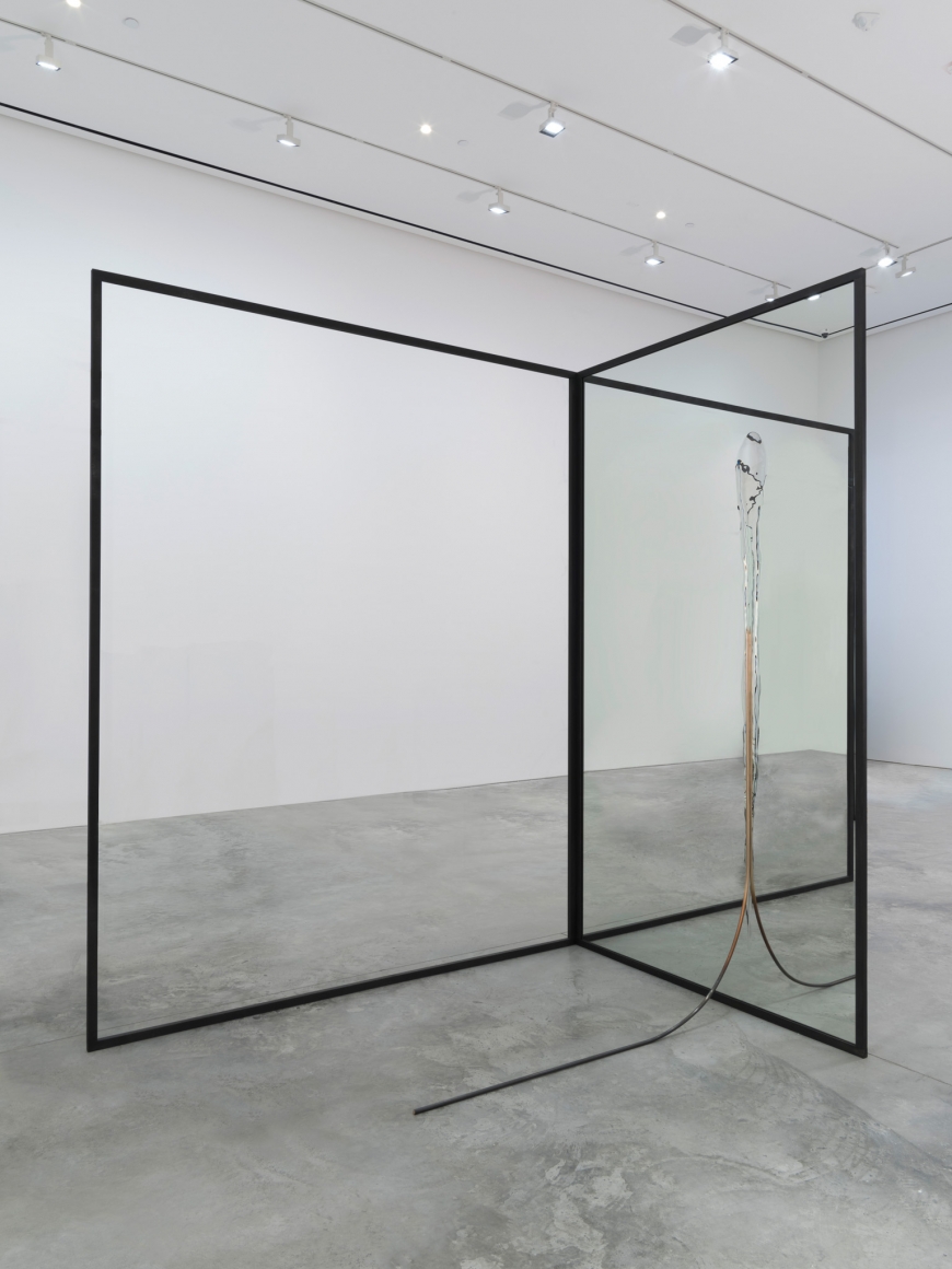 Alicja Kwade, I Rise Again (fig. I), 2016