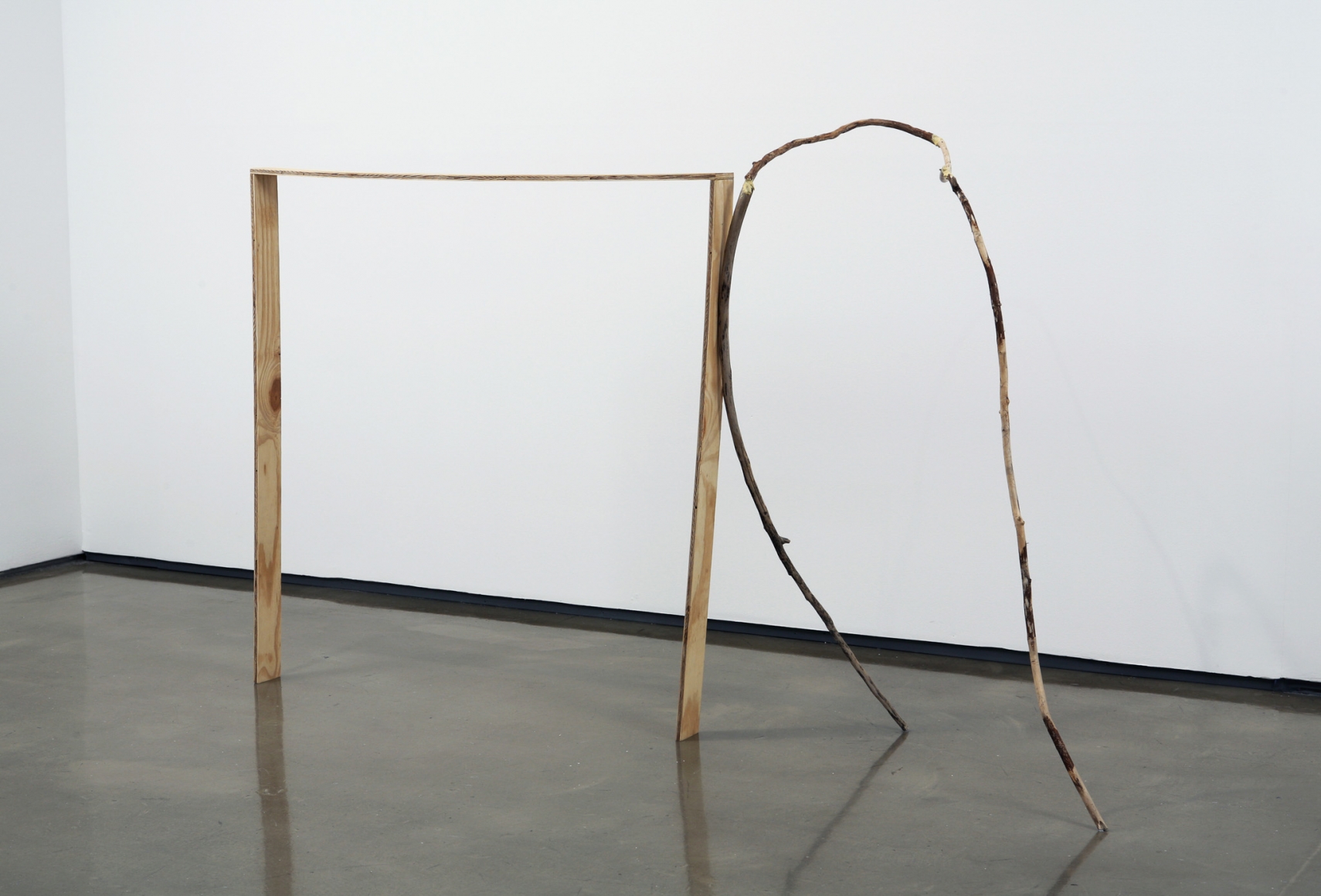 Gedi Sibony, A Sense of The, 2006