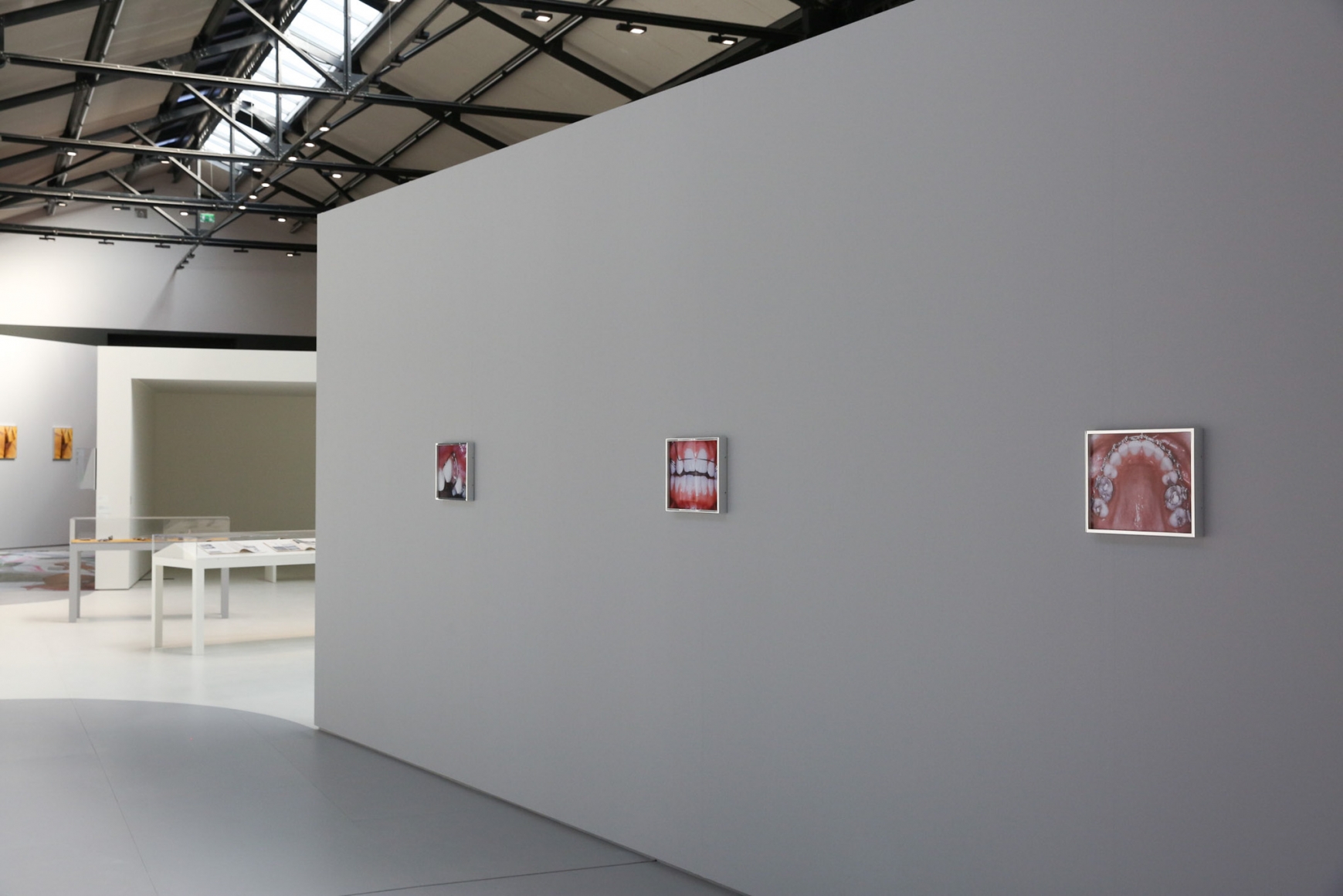 Elad Lassry: Untitled