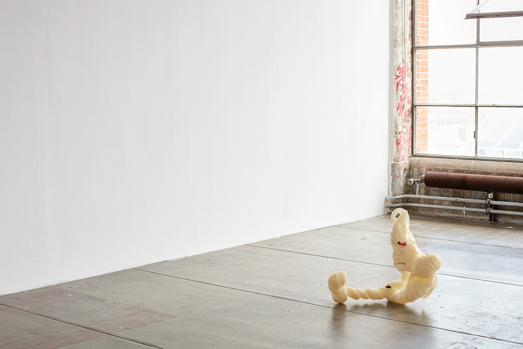 Nina Canell, Shedding Sheaths (B)