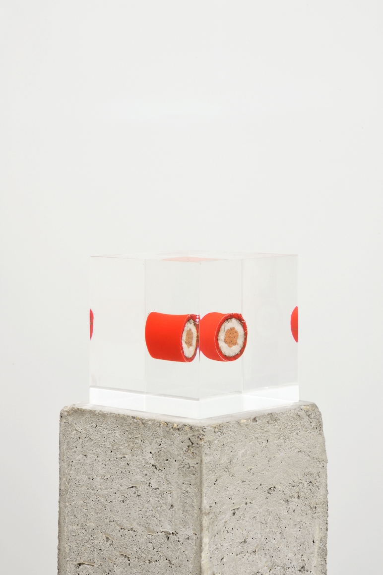 Nina Canell, Installation view: Satin Ions, Arko Art Centre, Seoul, 2015, Photo: Robin Watkins