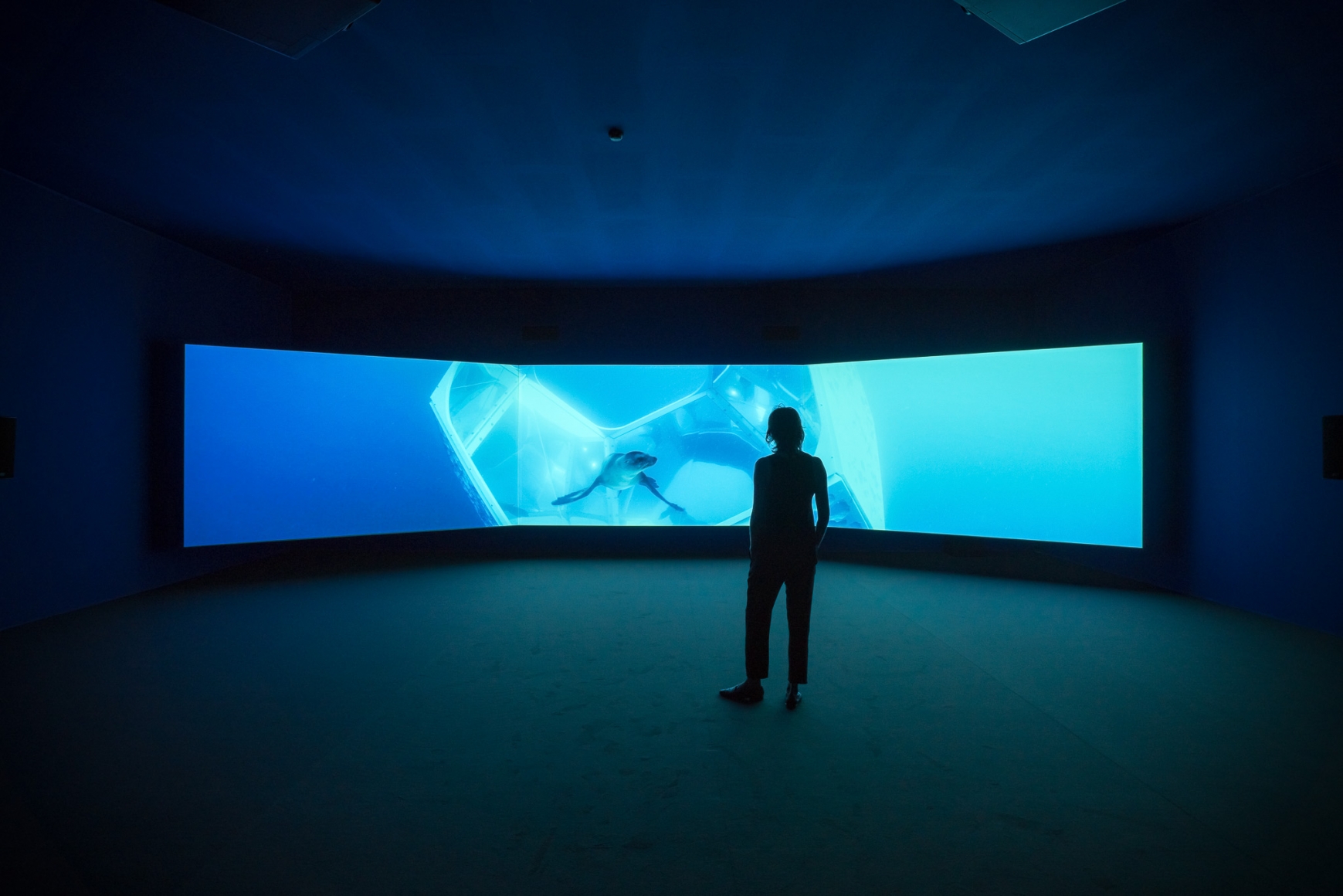 Doug Aitken, Underwater Pavilions (installation), 2017