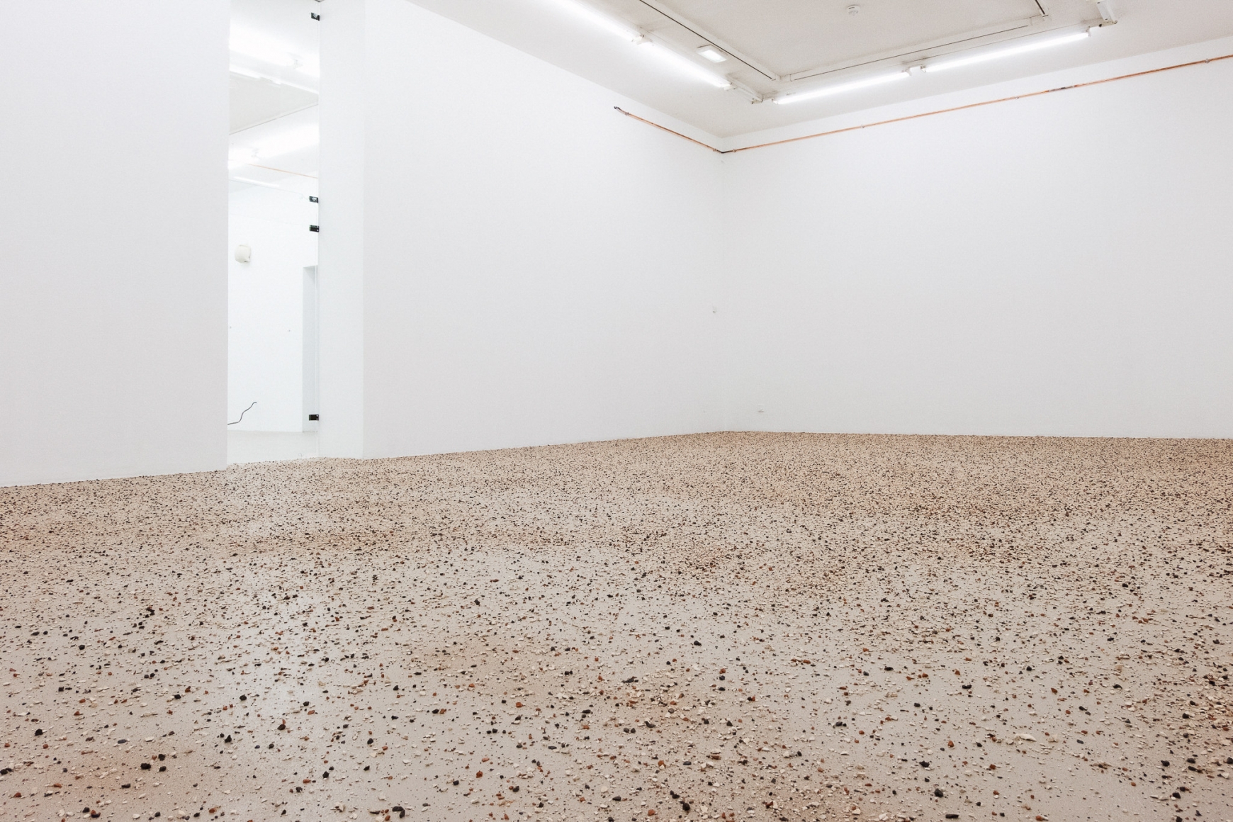 Installation view: Katinka Bock - Radio / Tomorrow’s Sculpture