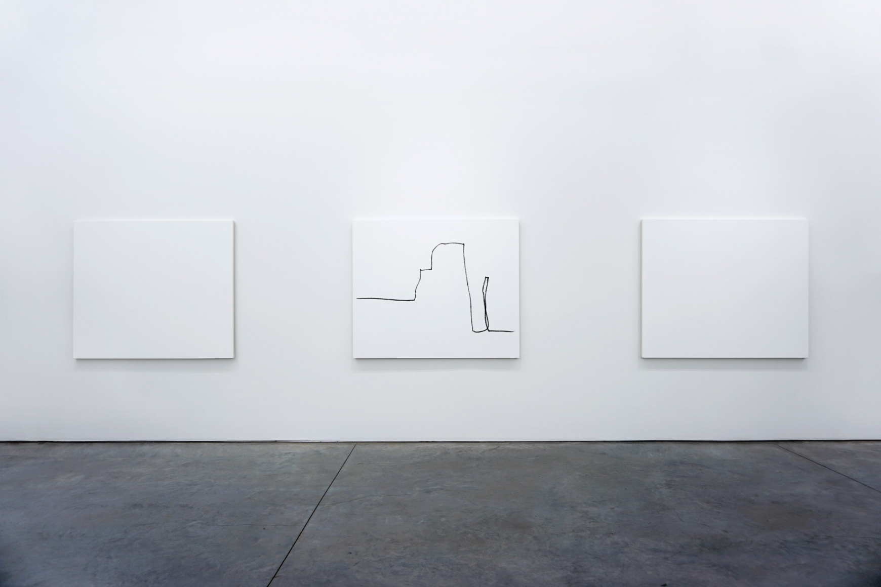 Sarah Meyohas, Installation at 303 Gallery, 2016