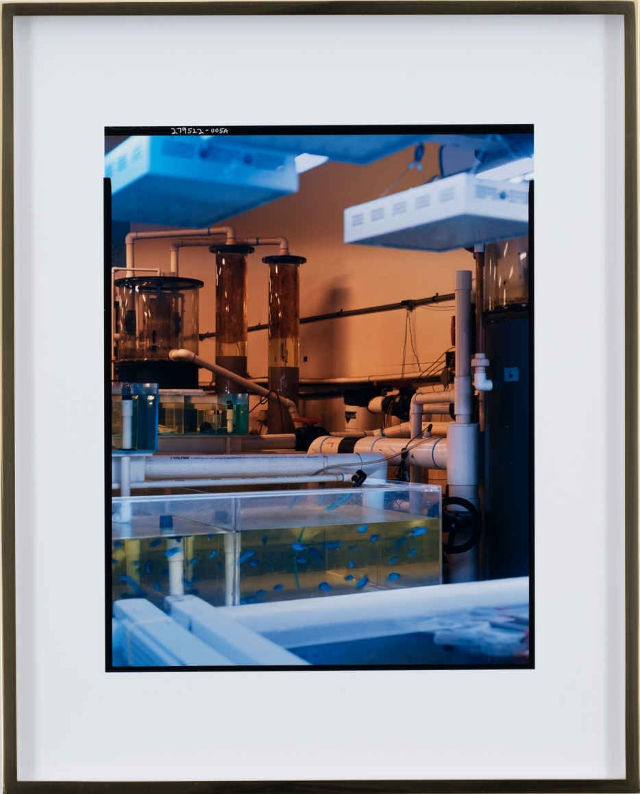 Elad Lassry, Untitled (Facility B), 2018