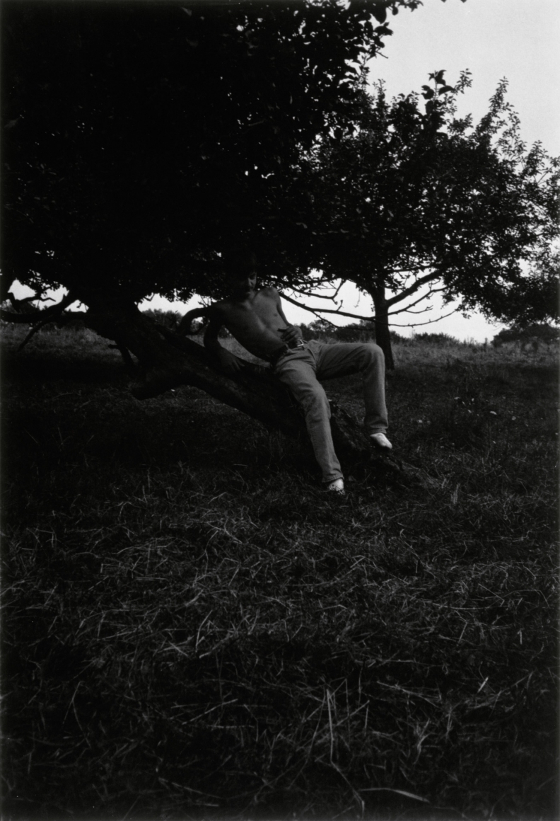Collier Schorr, Young Ethan Frome, 1994