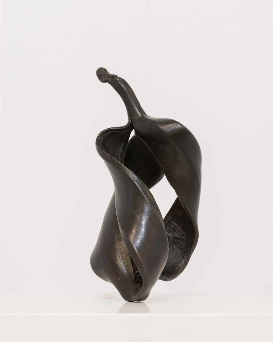 Alicja Kwade, Quantenbanane, 2015
