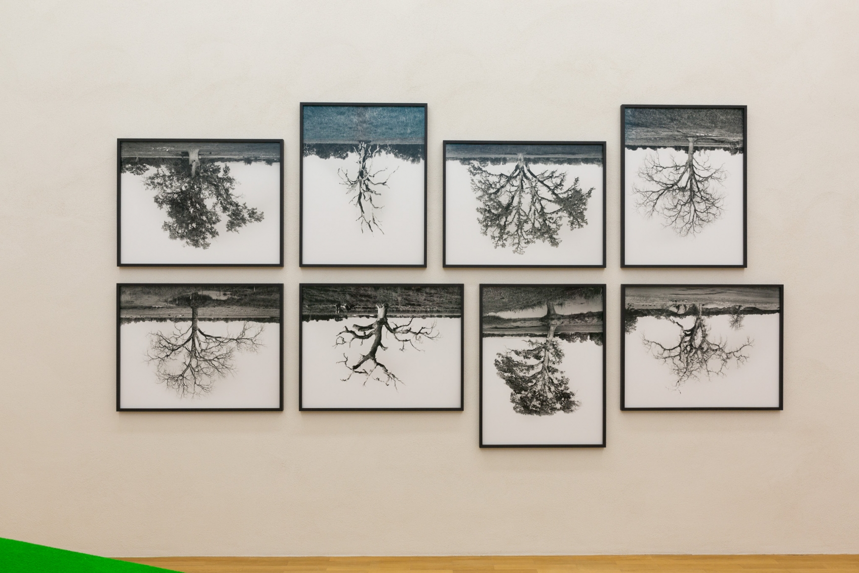 Rodney Graham, Installation view: Sammlung Goetz, München, 2016
