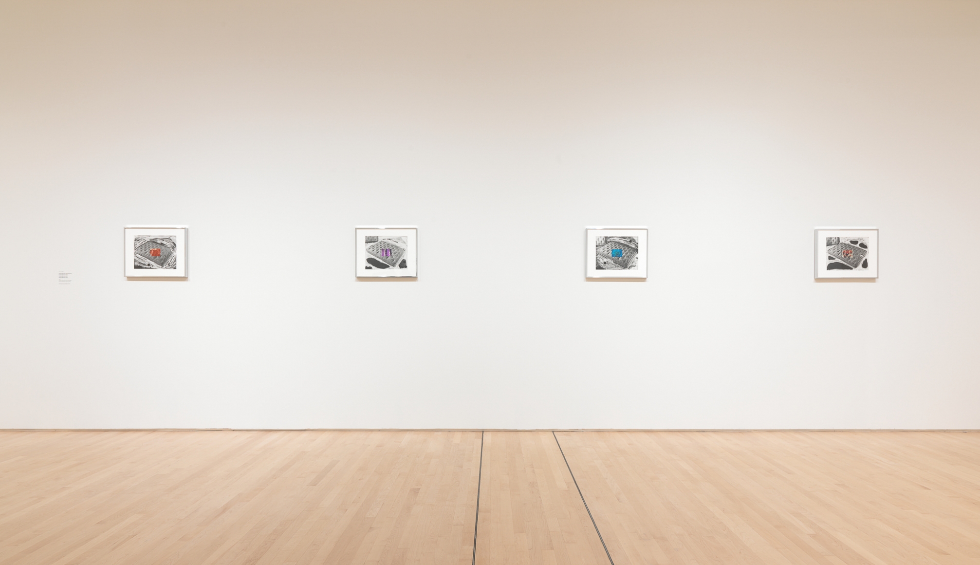 Elad Lassry, 2020 (installation view, SFMOMA); photo: Katherine Du Tiel /Jason Wittig