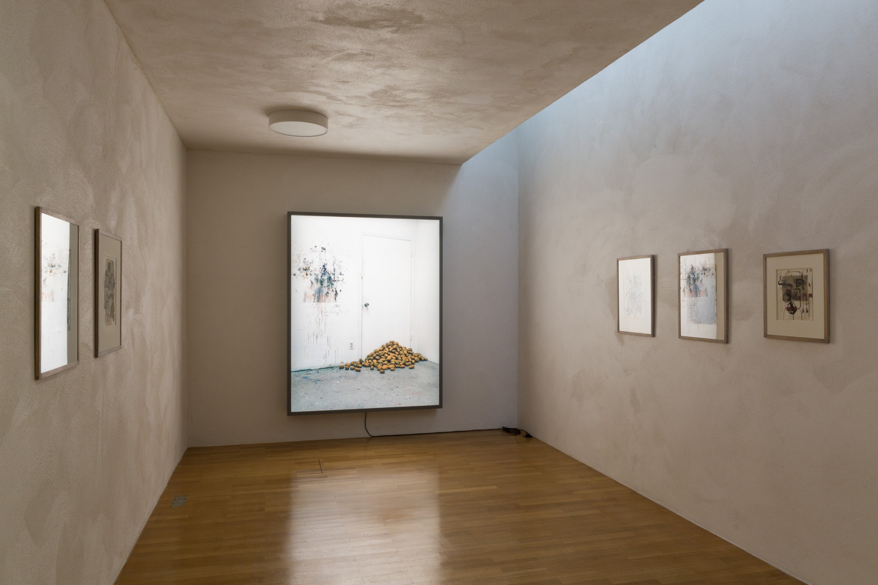 Rodney Graham, Installation view: Sammlung Goetz, München, 2016