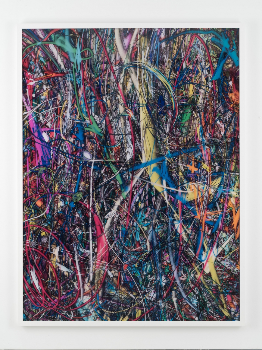 Florian Maier-Aichen, Untitled (Lasso Painting #3), 2016