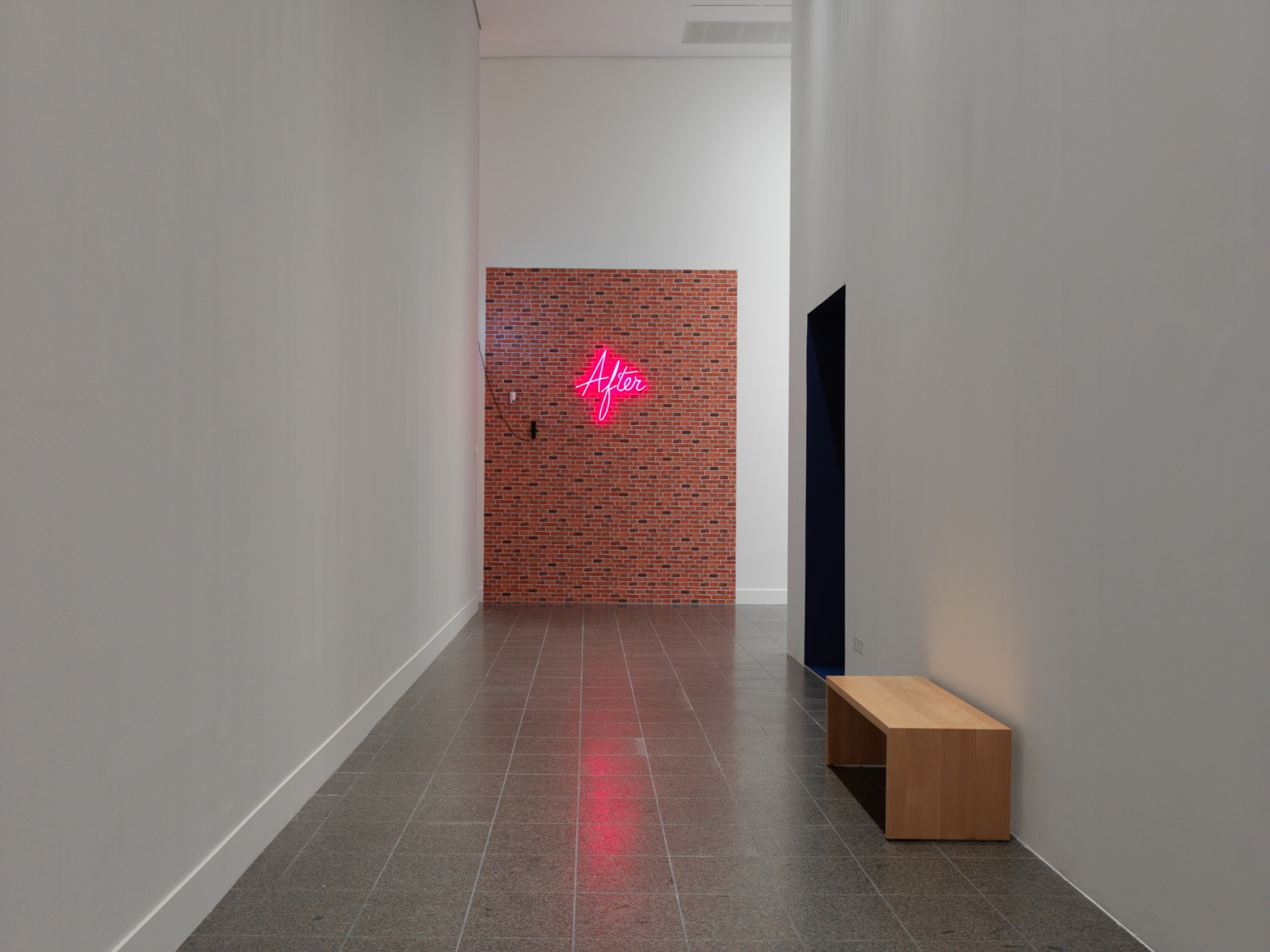Dominique Gonzalez-Foerster, Installation view: 1887 – 2058, Kunstsammlung Nordrhein-Westfalen, 2016