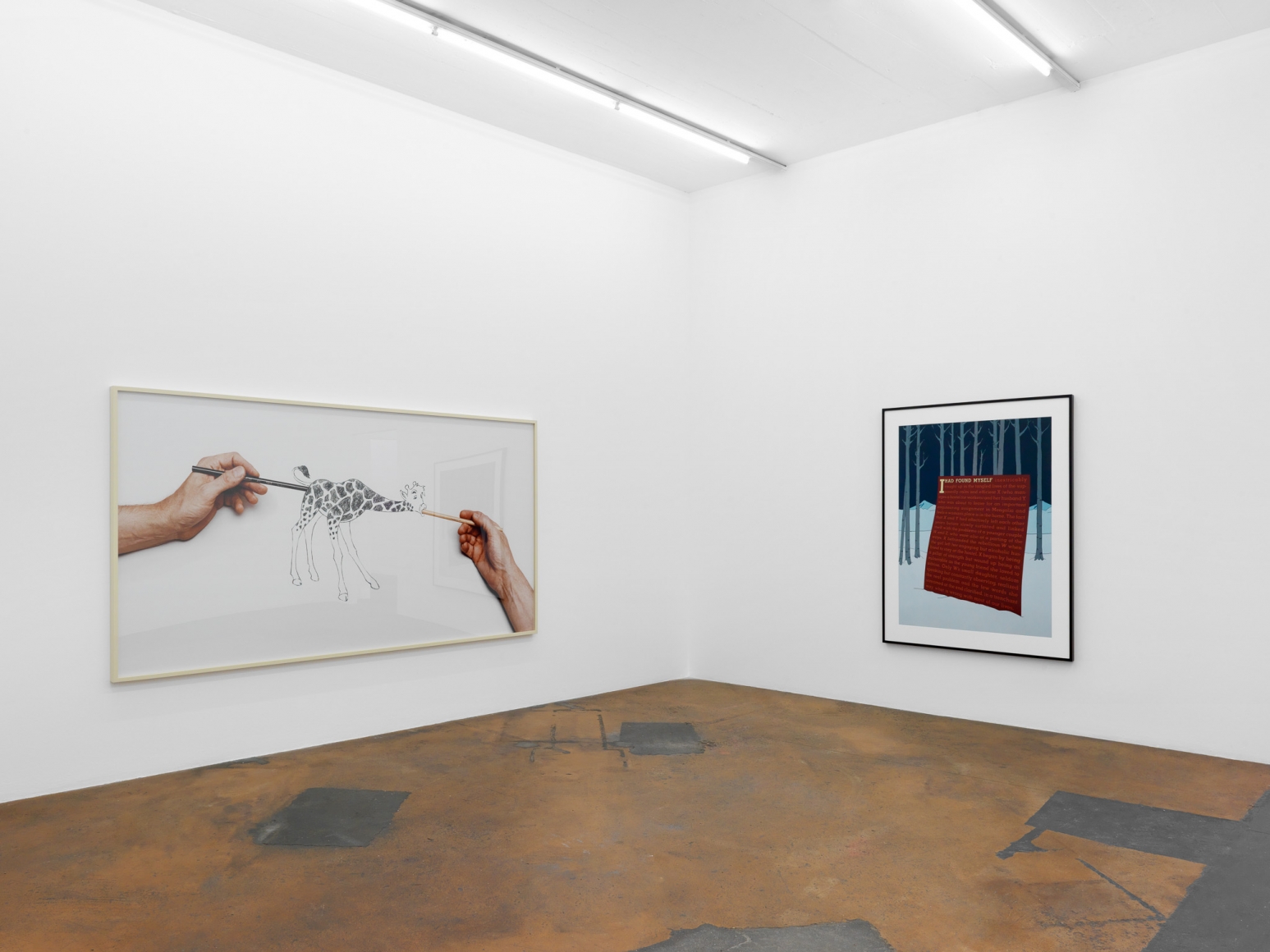 Larry Johnson, Installation view: MAMCO, 2016