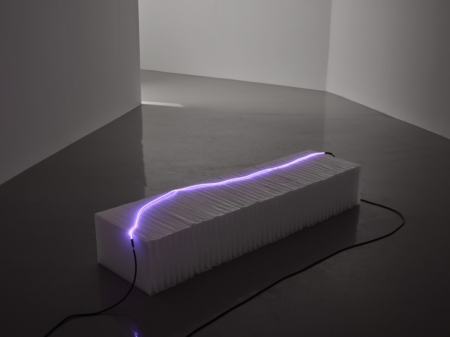 Sam Falls, Untitled (Antarctic Body), 2018, Argon, glass, wax, electrical components