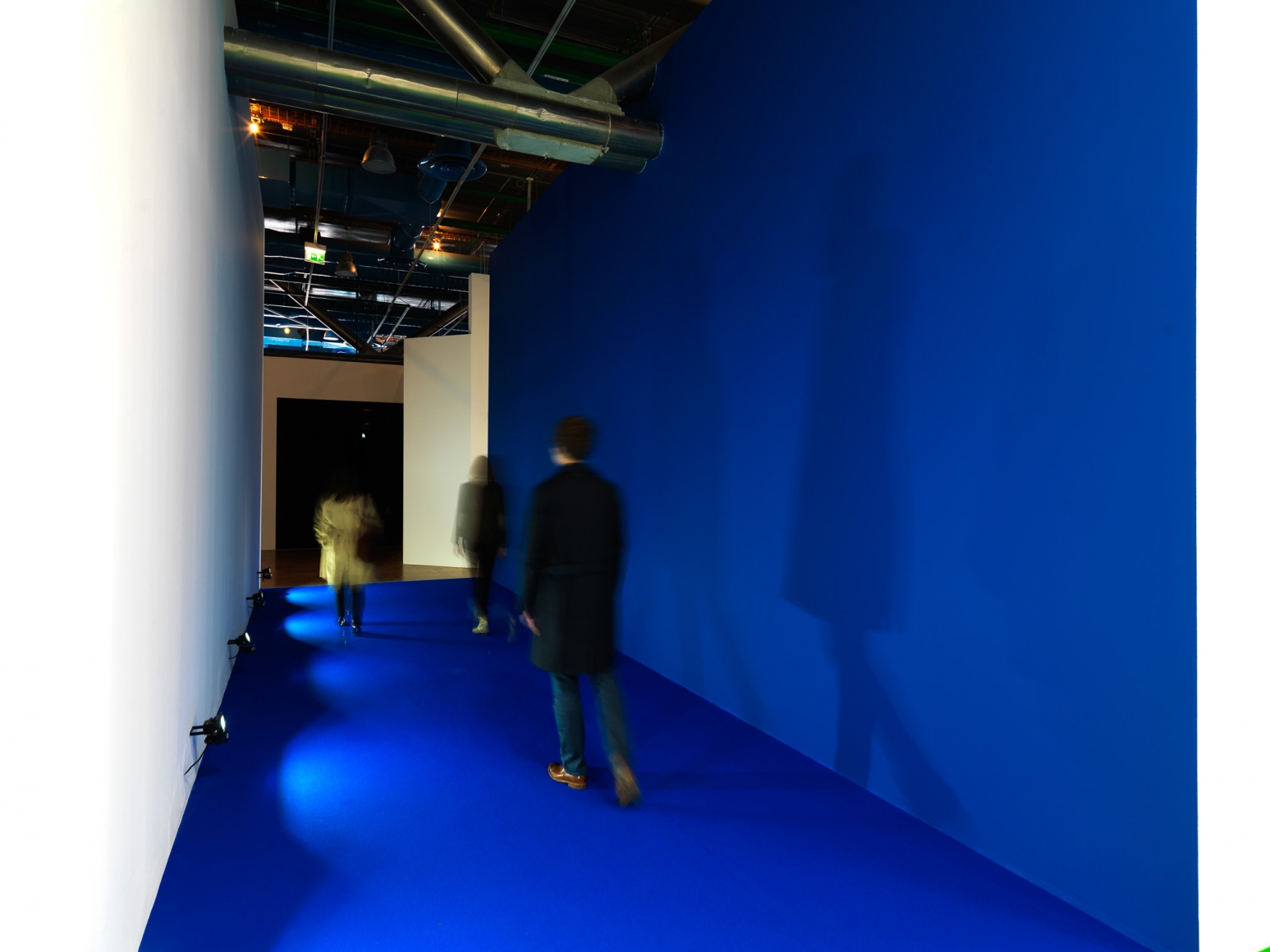 Dominique Gonzalez-Foerster, Séance de Shadow II (bleu), 2015