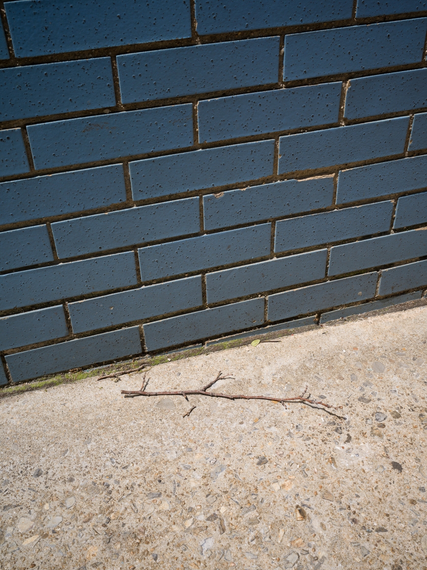 Stephen Shore, New York, New York, May 19, 2017