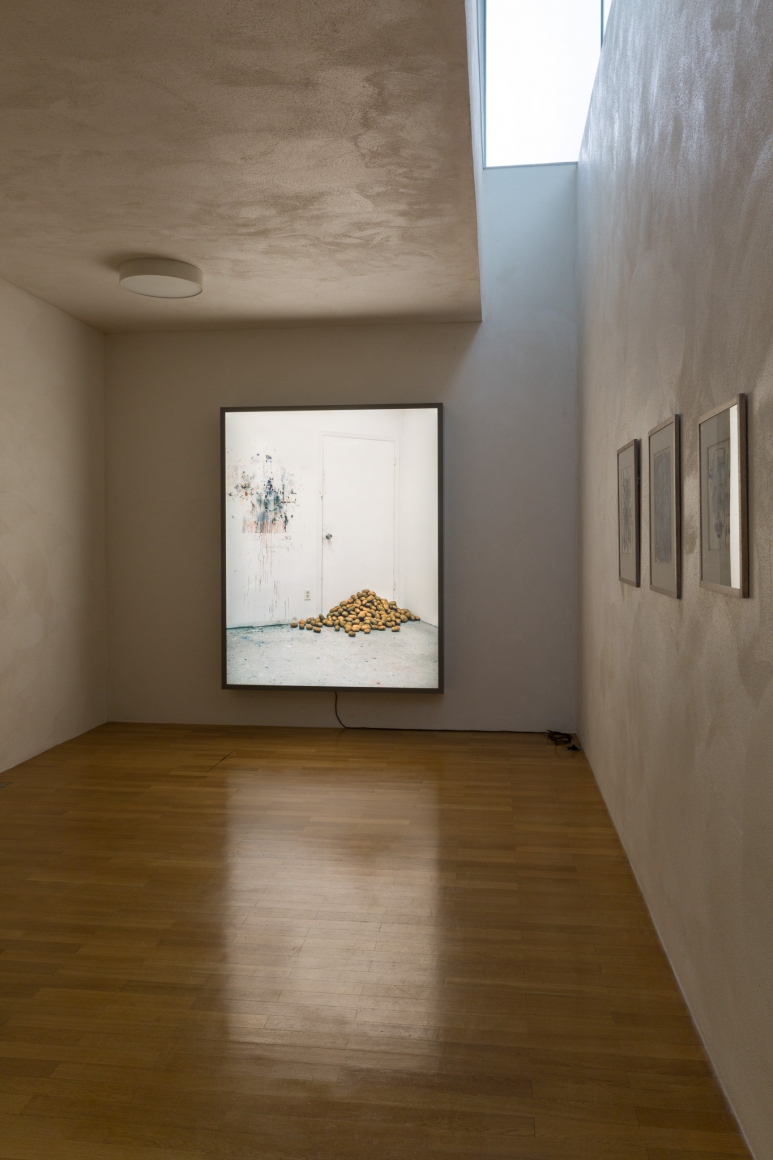 Rodney Graham, Installation view: Sammlung Goetz, München, 2016