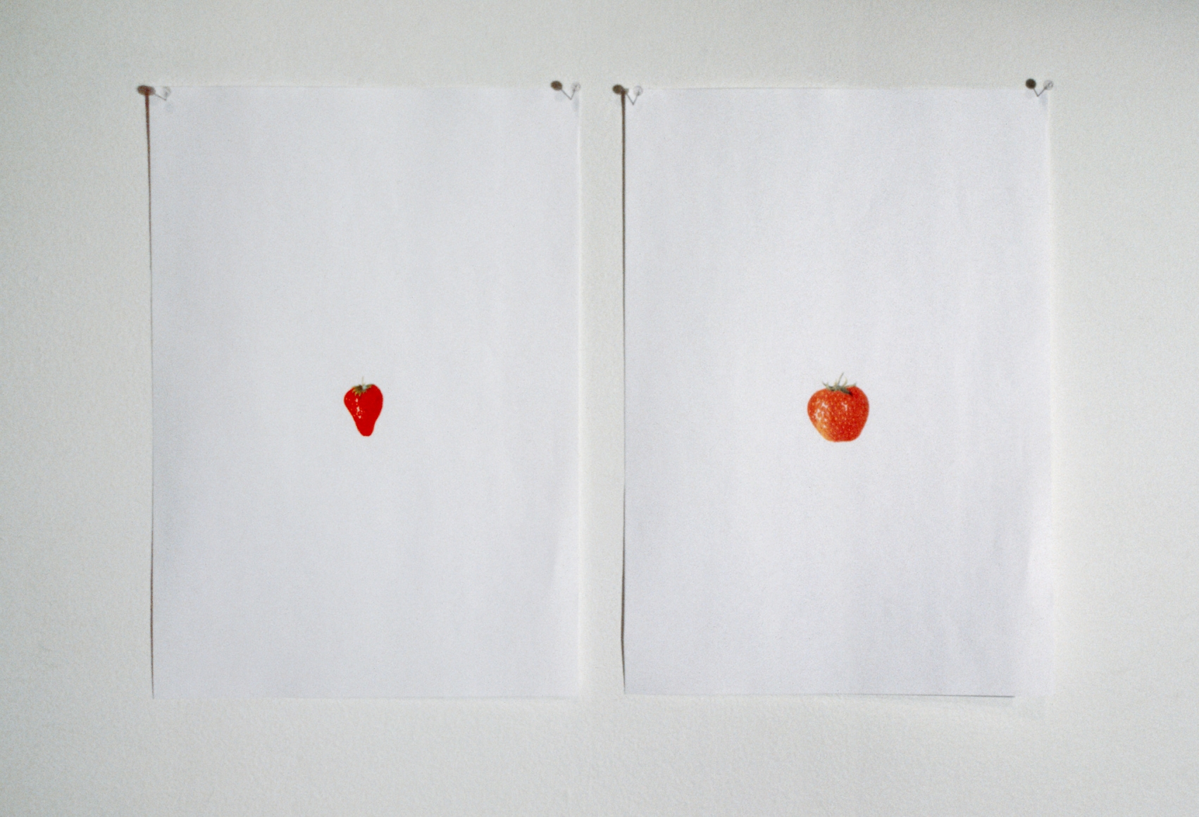 Hans-Peter Feldmann, 2 laser copies (Strawberries)